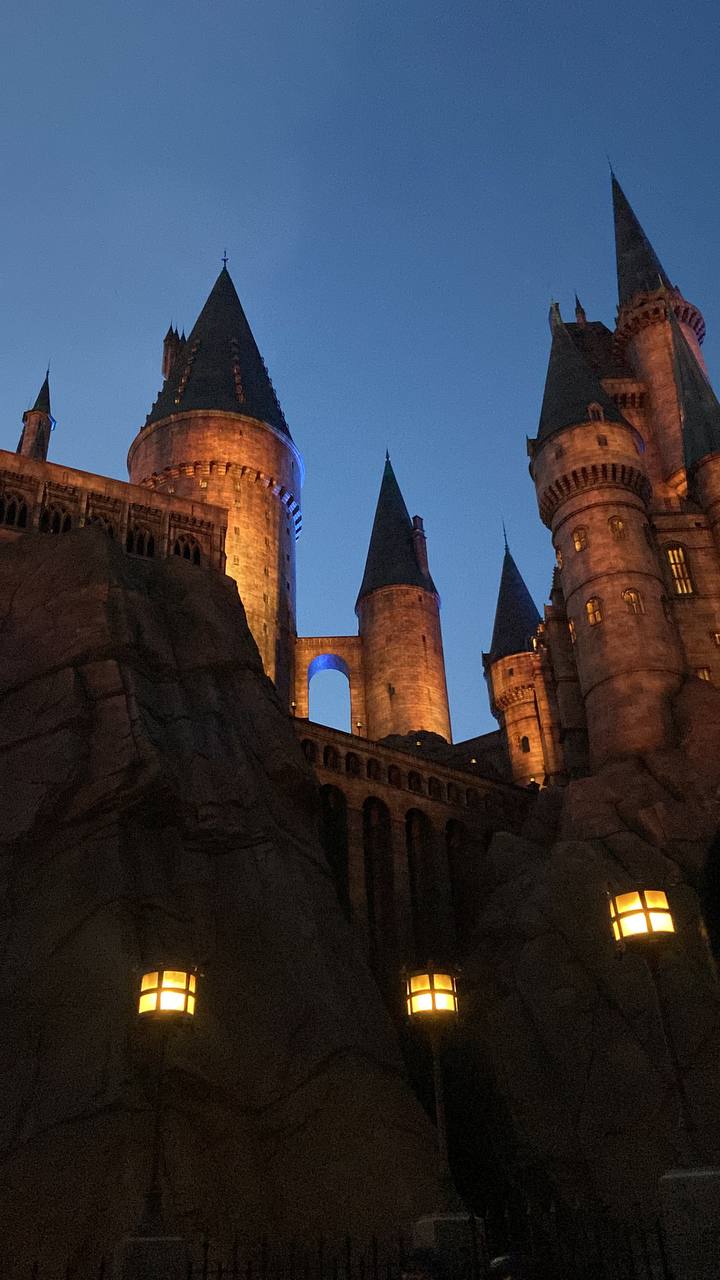 Красивый девичник в Китае- весна под сакурой!  Пекин+Шанхай. Мини группа (25/34)