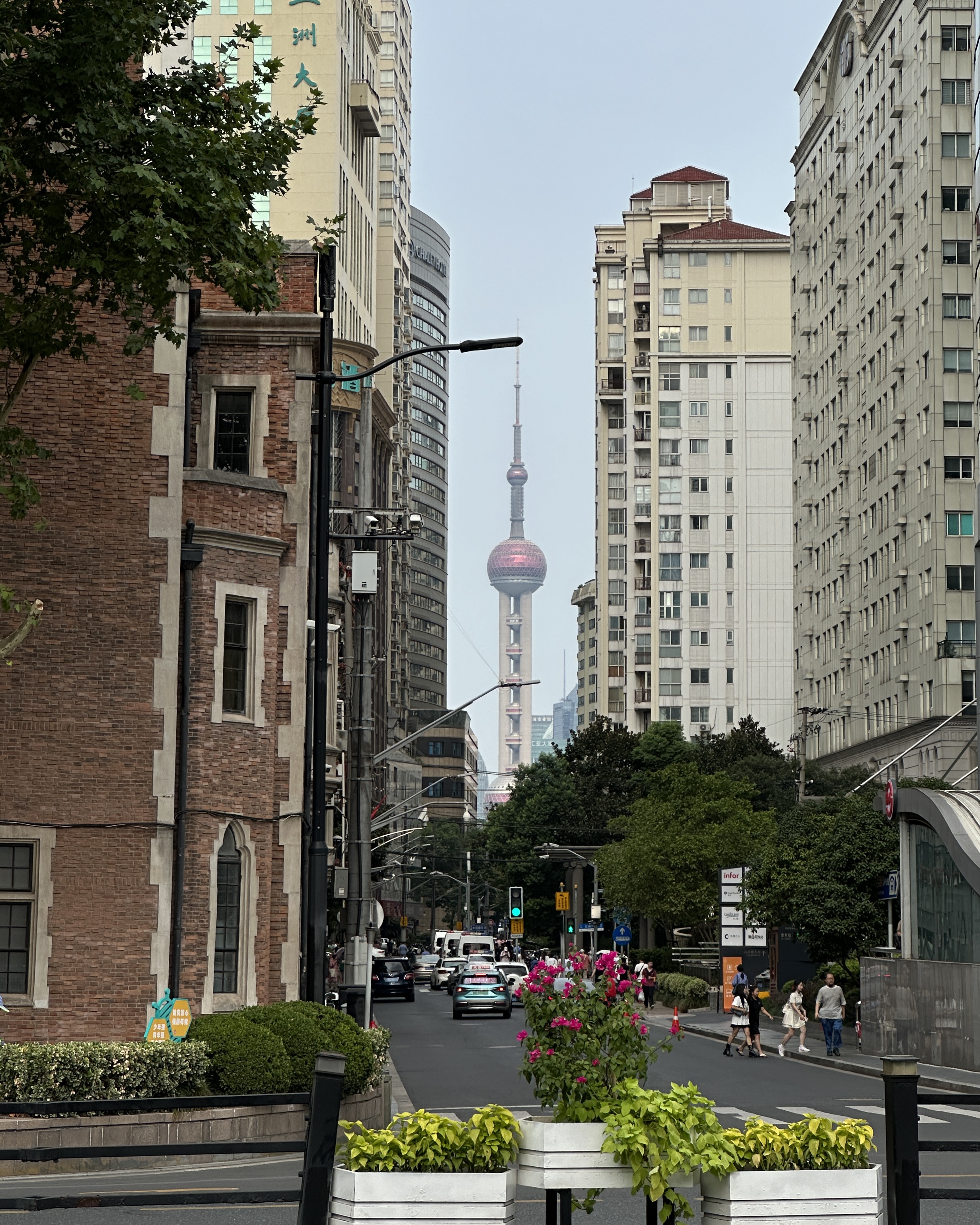 Красивый девичник в Китае- весна под сакурой!  Пекин+Шанхай. Мини группа (32/34)