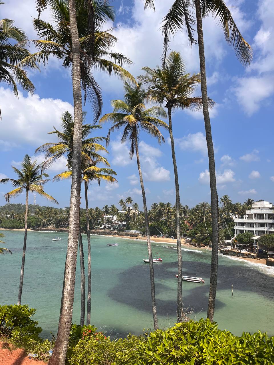 Океан и Coconut Tree Hill