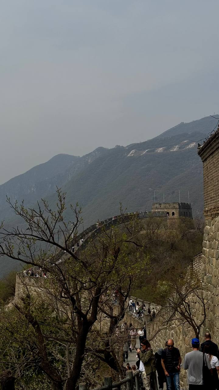 Красивый девичник в Китае- весна под сакурой!  Пекин+Шанхай. Мини группа (24/34)