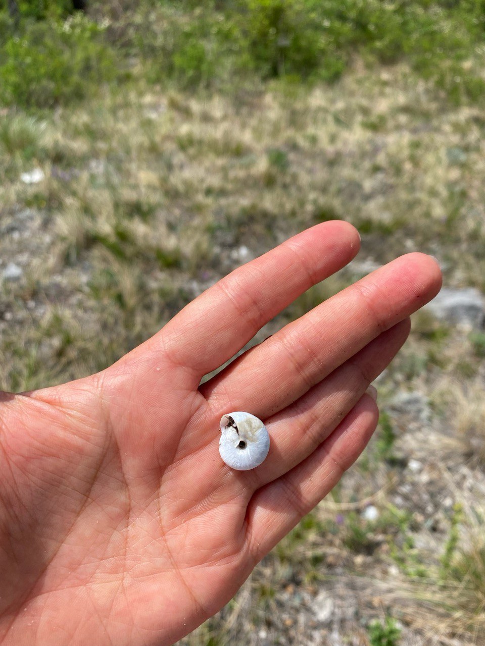 Тыва. Вспомни - культурно-приключенческая программа в Тыву с практиками йоги (15/44)