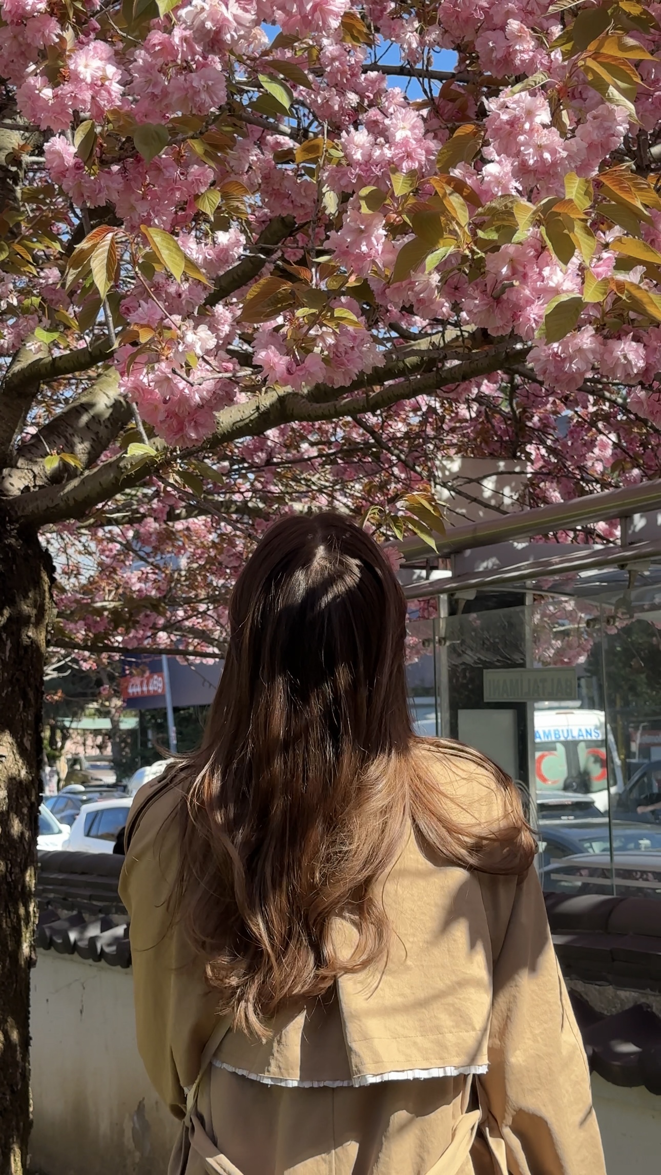 Красивый девичник в Китае- весна под сакурой!  Пекин+Шанхай. Мини группа (33/34)