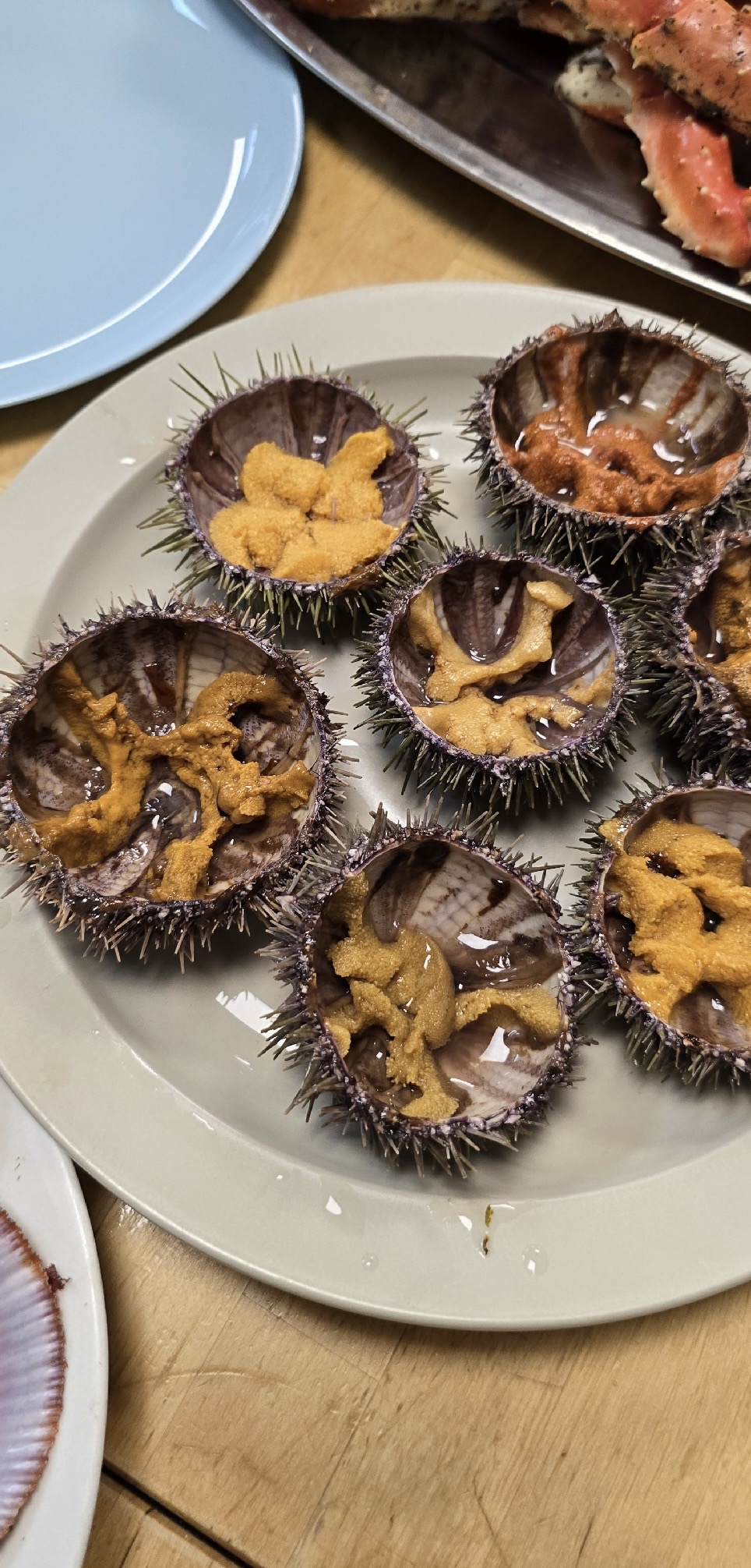 Териберка. Майские на максималку. Все включено: баня, море, рыбалка (44/58)