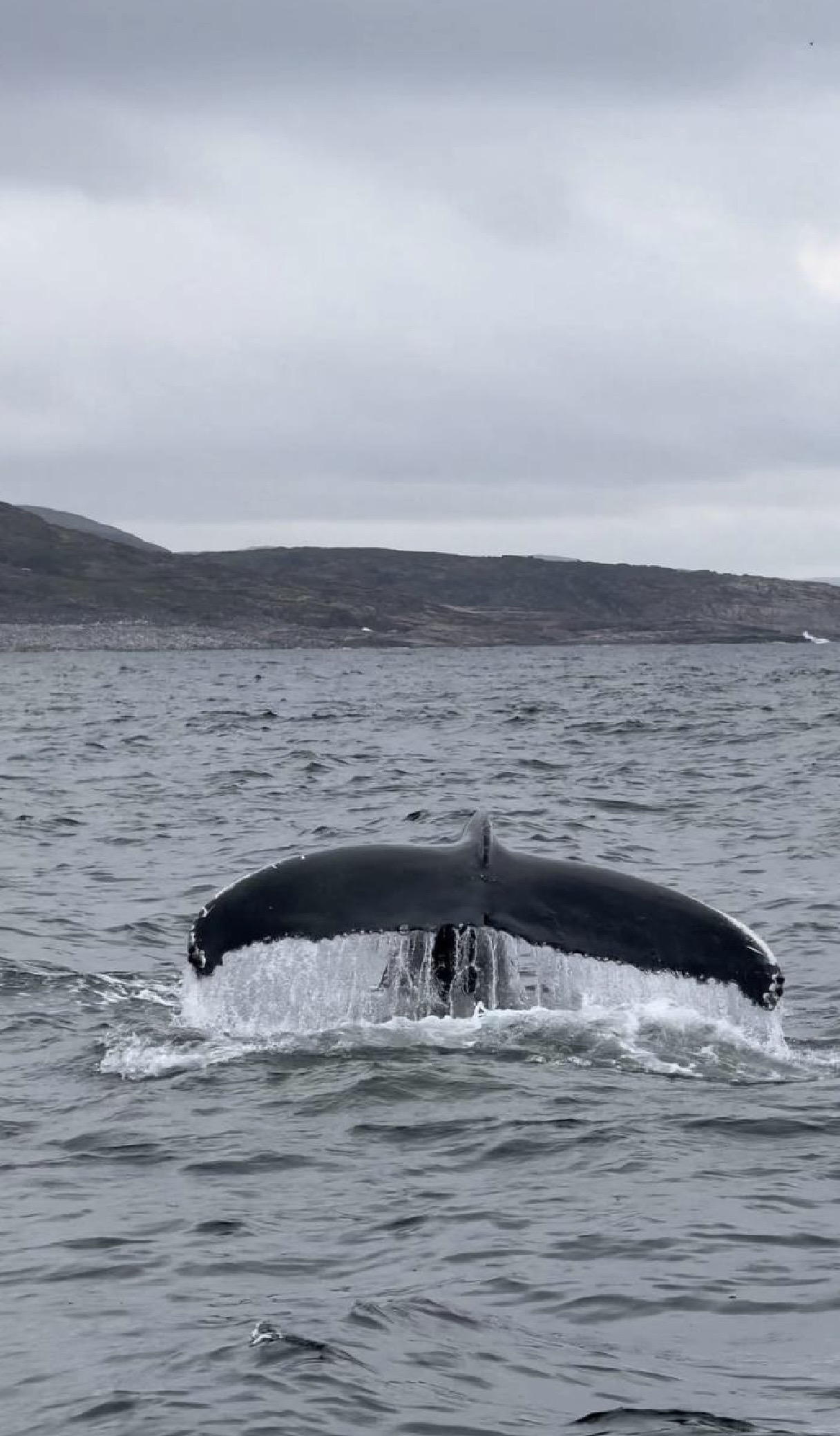 Териберка. Майские на максималку. Всё включено: баня, море, рыбалка