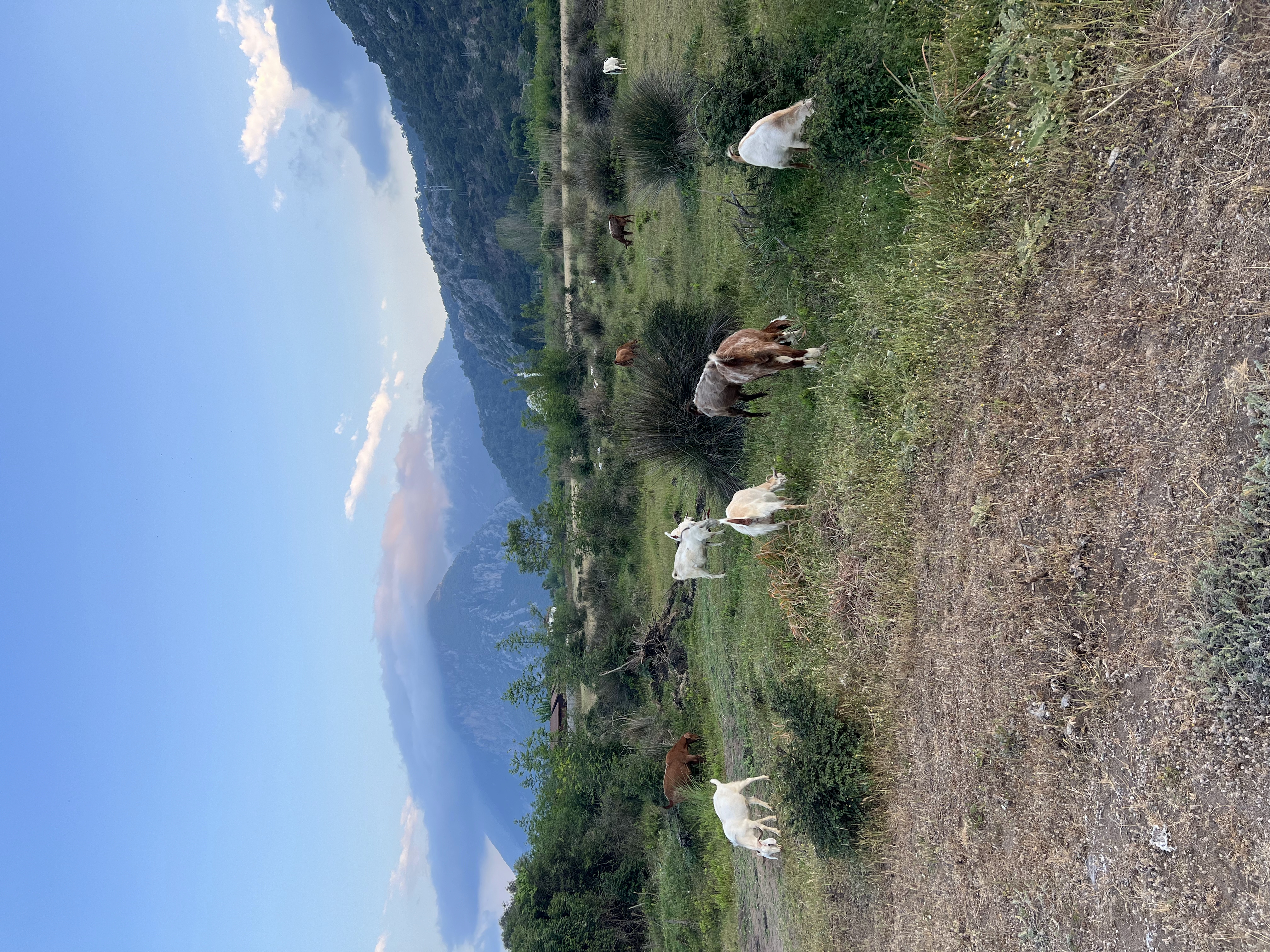 Ретрит в Чиралах: тур с тренинговой программой в деревне на берегу средиземного моря (14/26)
