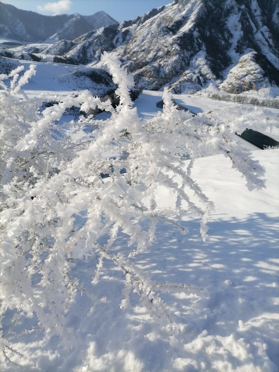 Влюбись в Алтай за 5 дней (3/11)