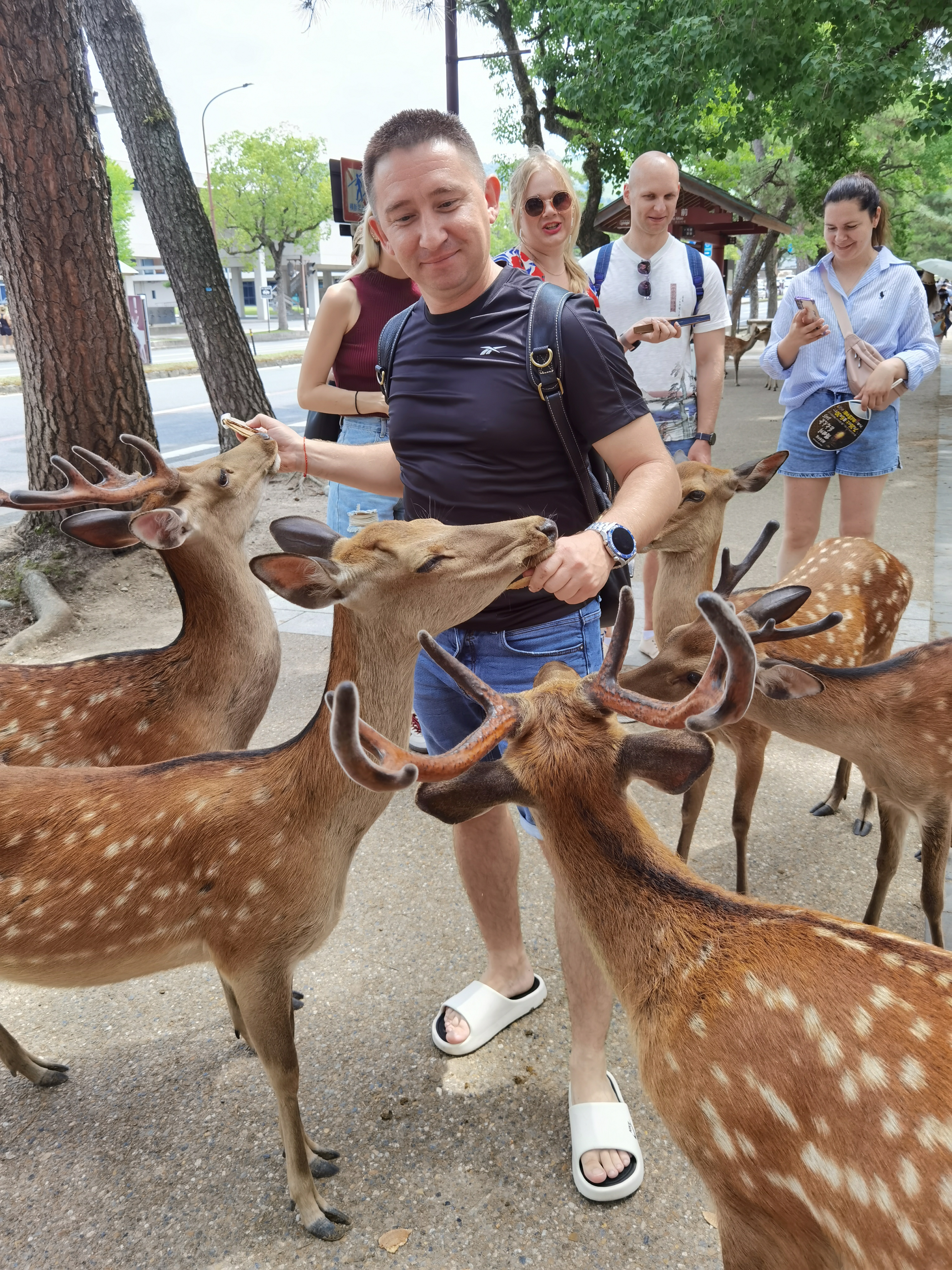 Япония: фестиваль фейерверков и пляжи Окинавы (18/37)