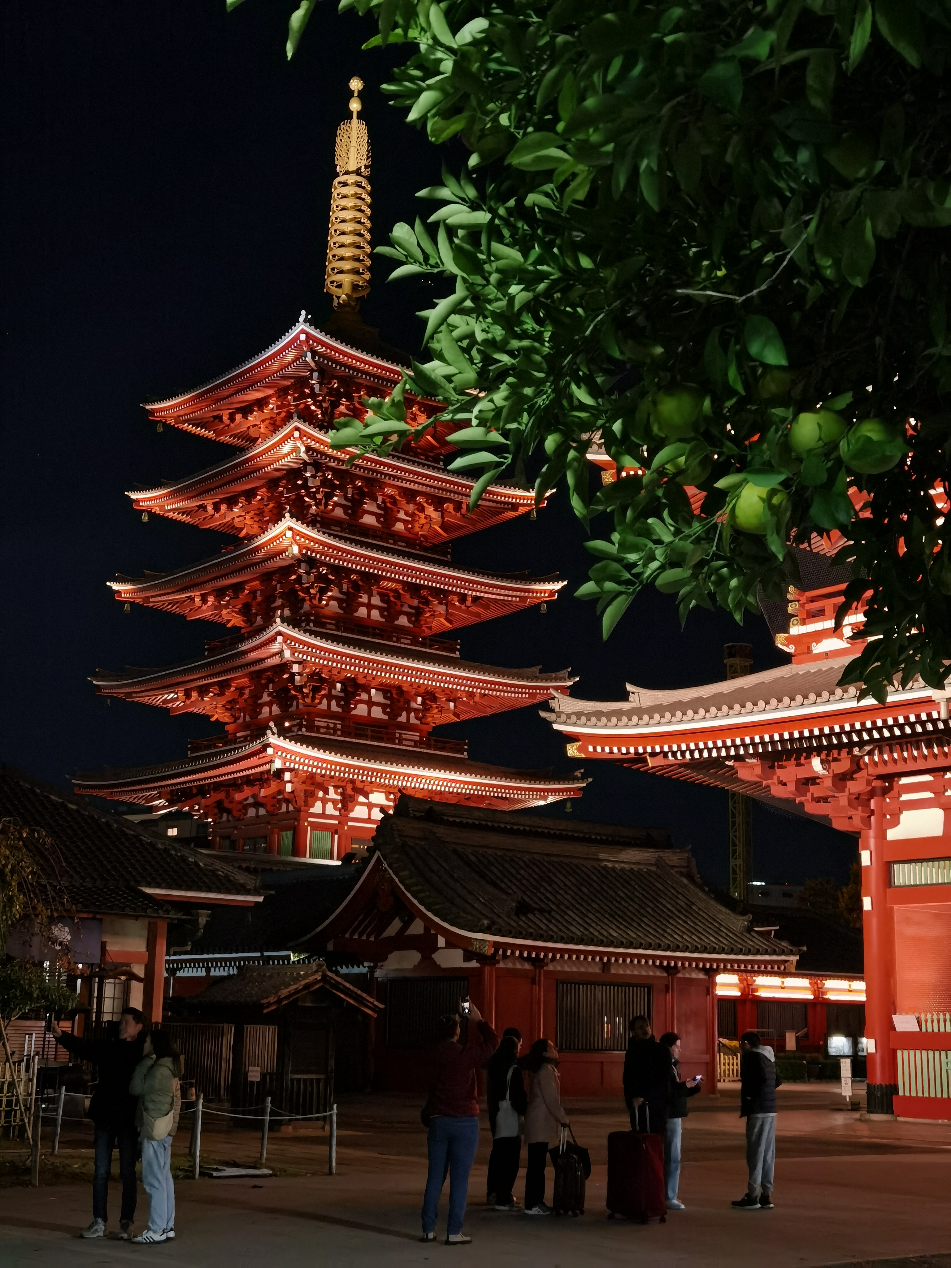 Япония: фестиваль фейерверков и пляжи Окинавы (10/37)