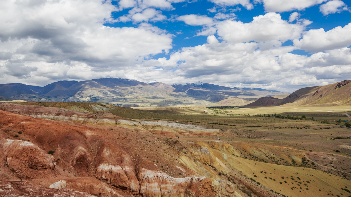 Цветущий Алтай (9/10)