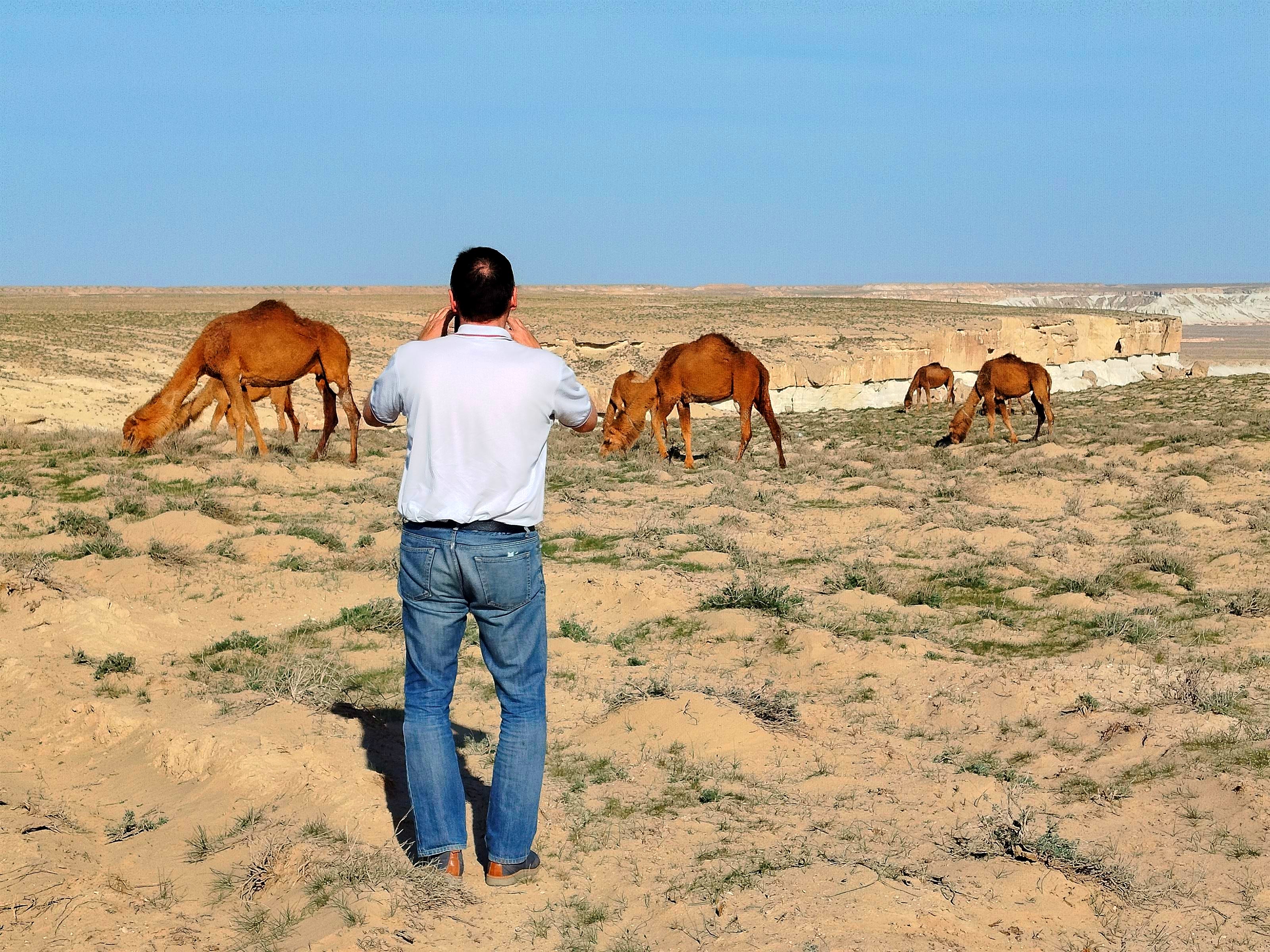 8 дневный обширный тур в Туркменистан (23/32)