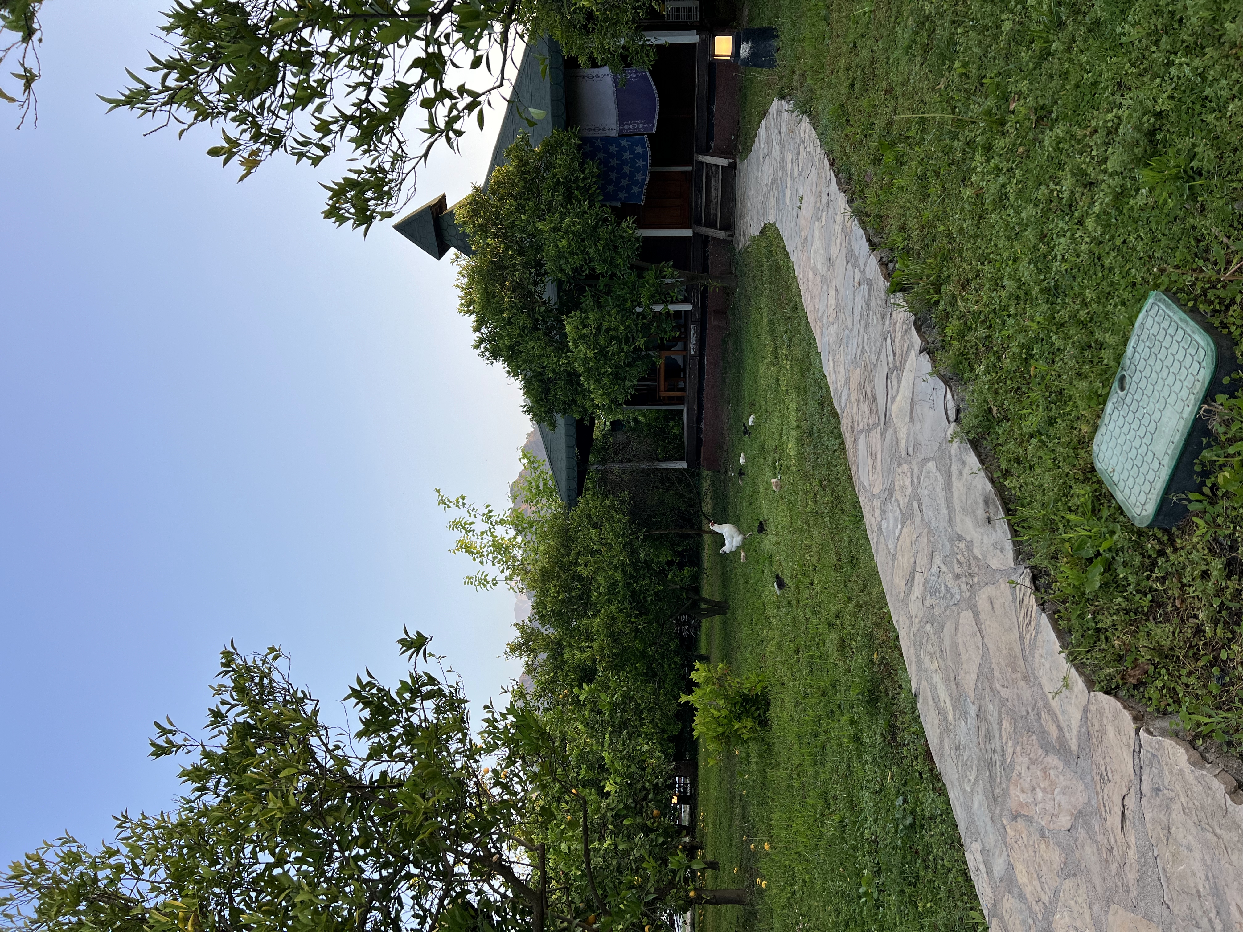 Ретрит в Чиралах: тур с тренинговой программой в деревне на берегу средиземного моря (12/26)