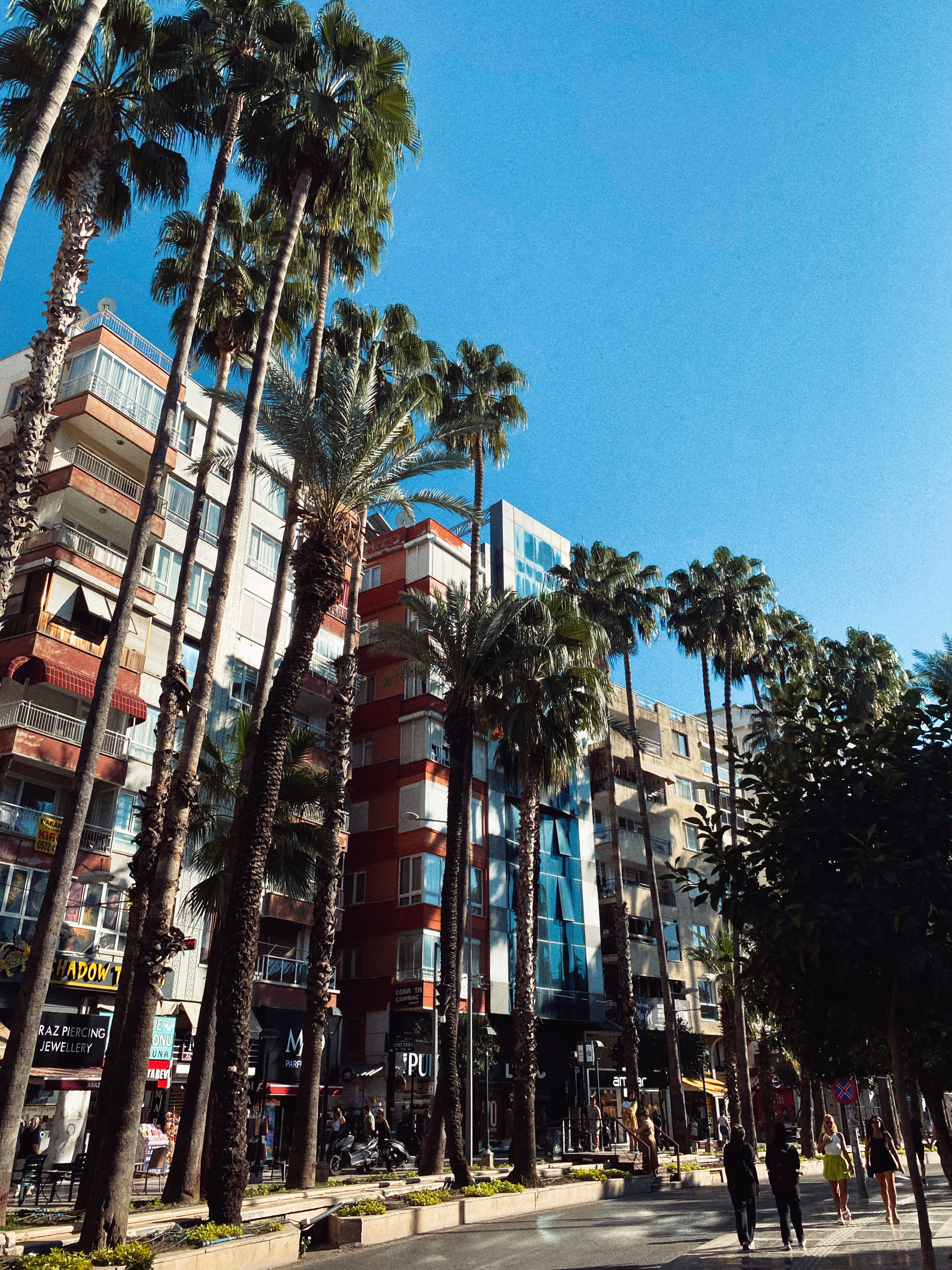 Ретрит в Чиралах: тур с тренинговой программой в деревне на берегу средиземного моря (11/26)