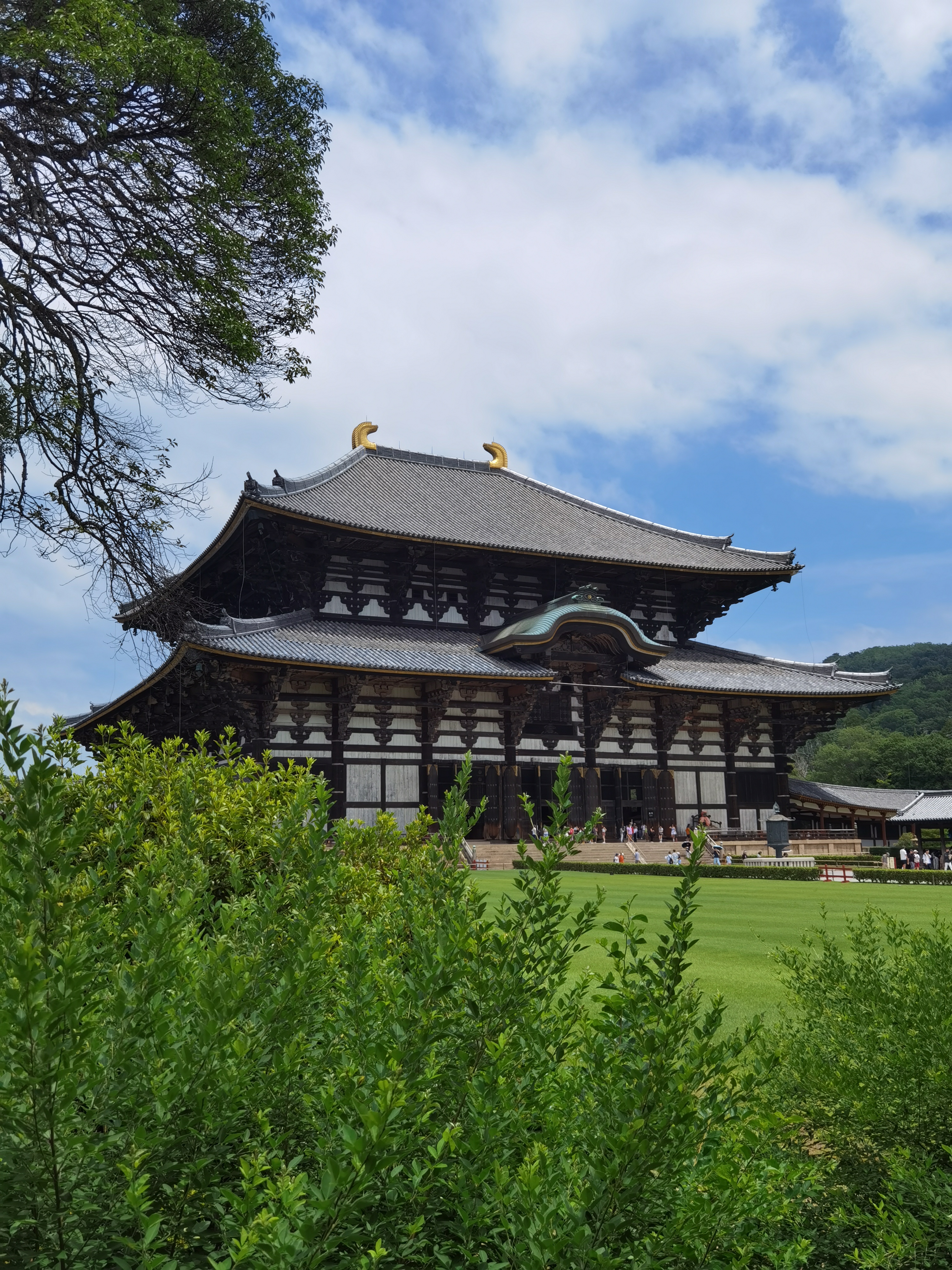 Япония: фестиваль фейерверков и пляжи Окинавы (17/37)