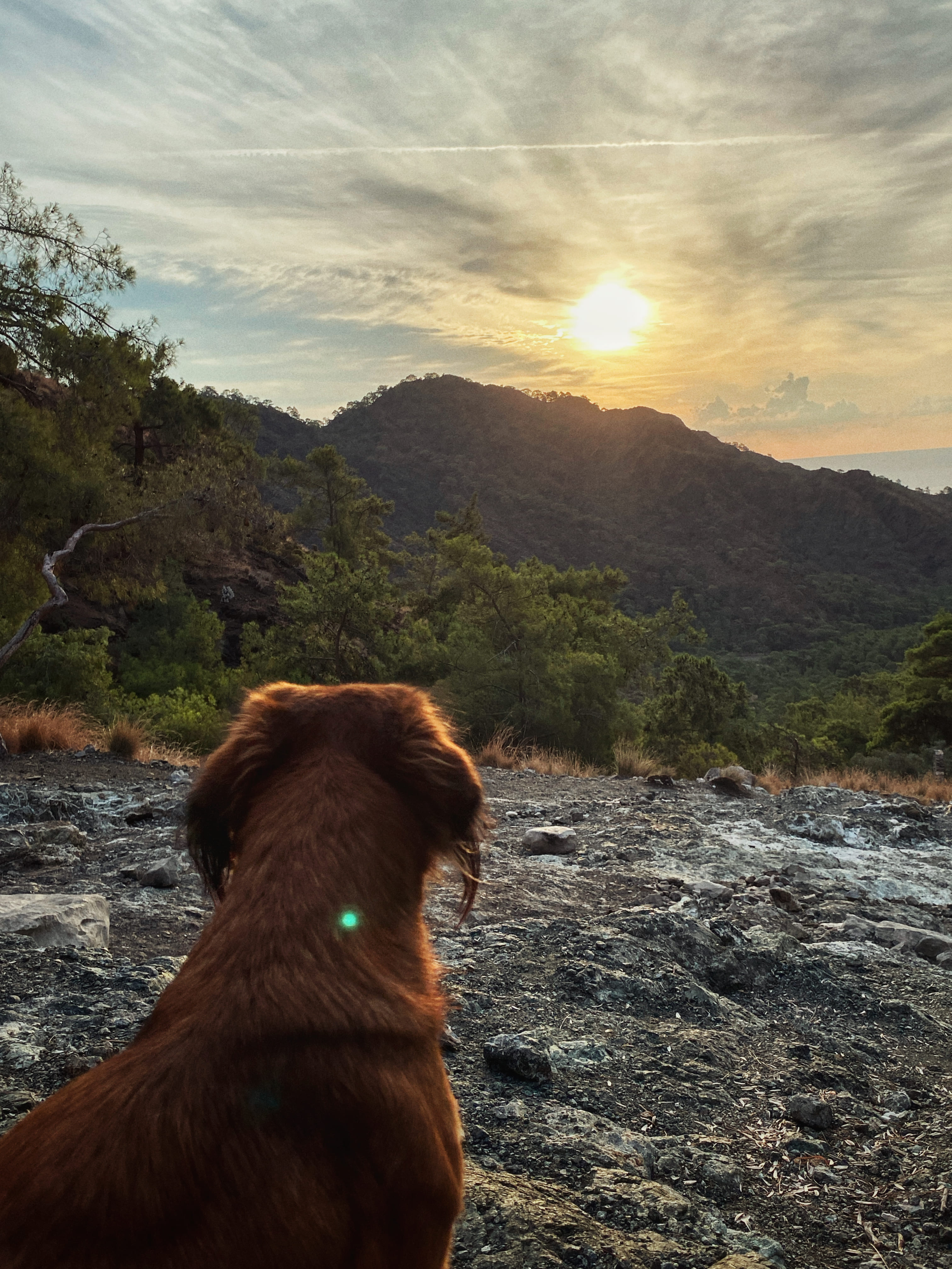 Ретрит в Чиралах: тур с тренинговой программой в деревне на берегу средиземного моря (17/26)