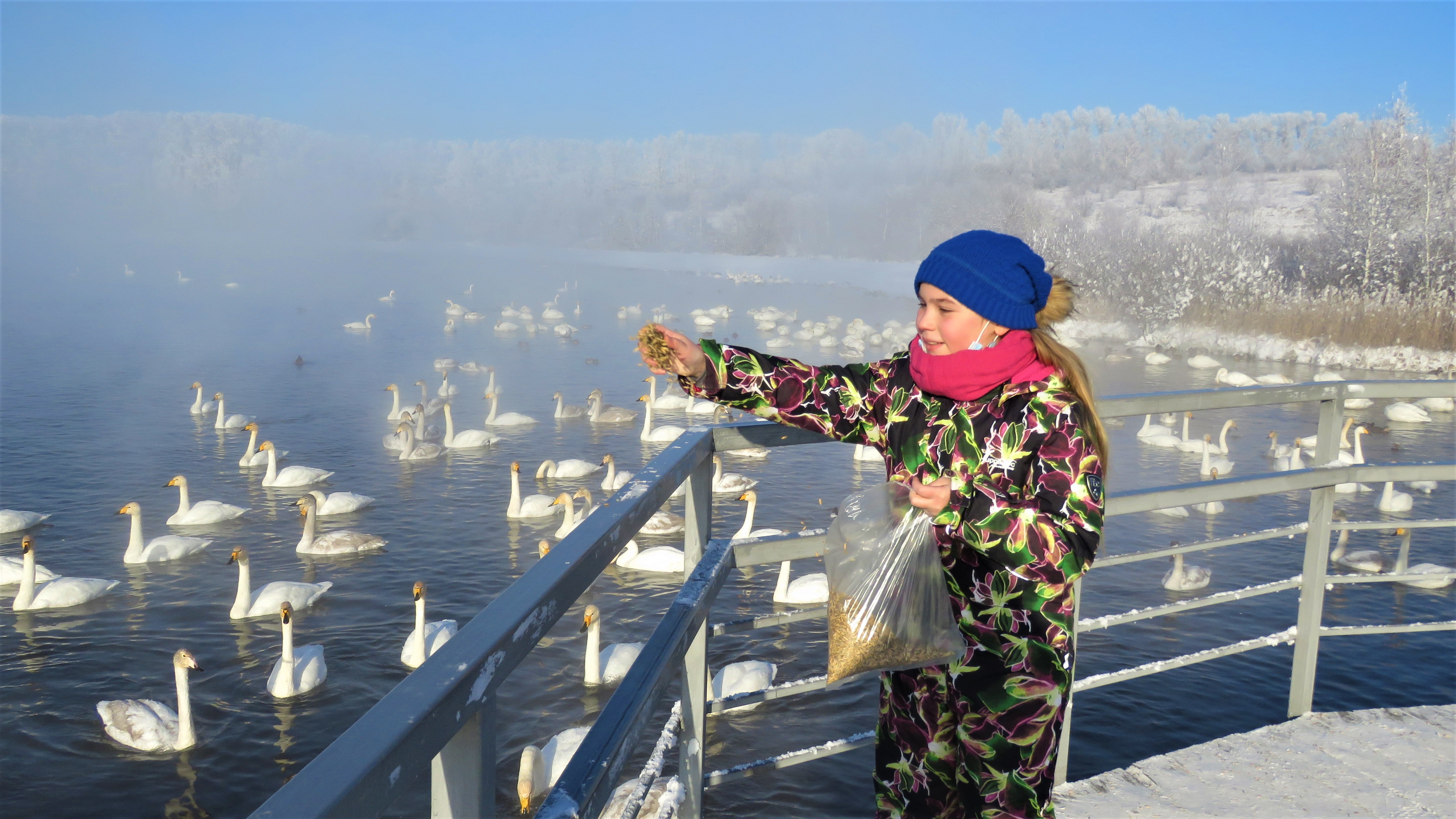 Обзорный тур Знакомство с Алтаем + Марсианские горы (20/31)