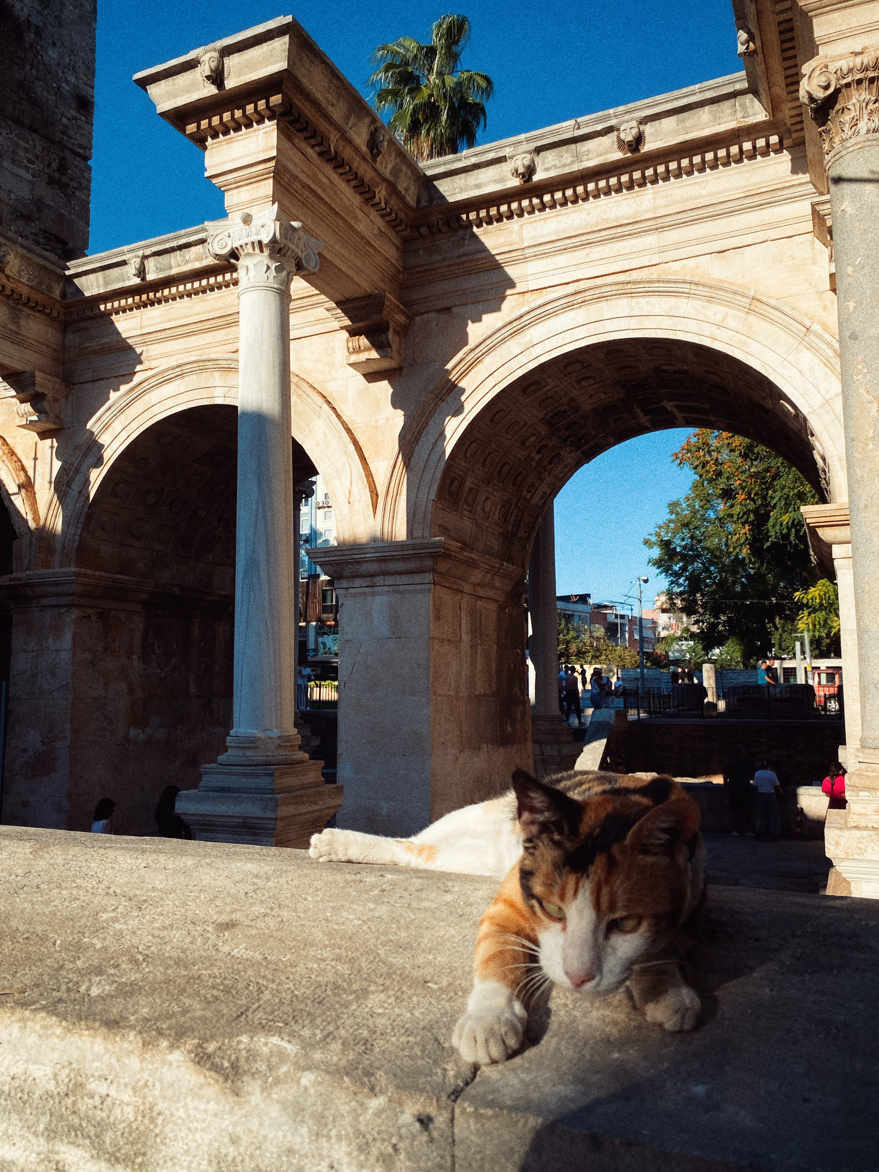 Ретрит в Чиралах: тур с тренинговой программой в деревне на берегу средиземного моря (10/26)