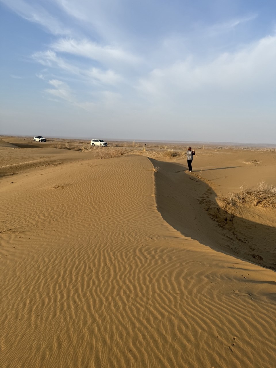 Туркменистан за 5 дней: Тени Великого Шёлкового Пути (16/27)