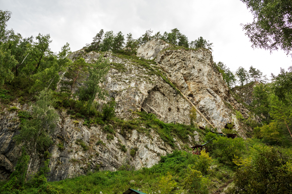 Цветущий Алтай (10/10)