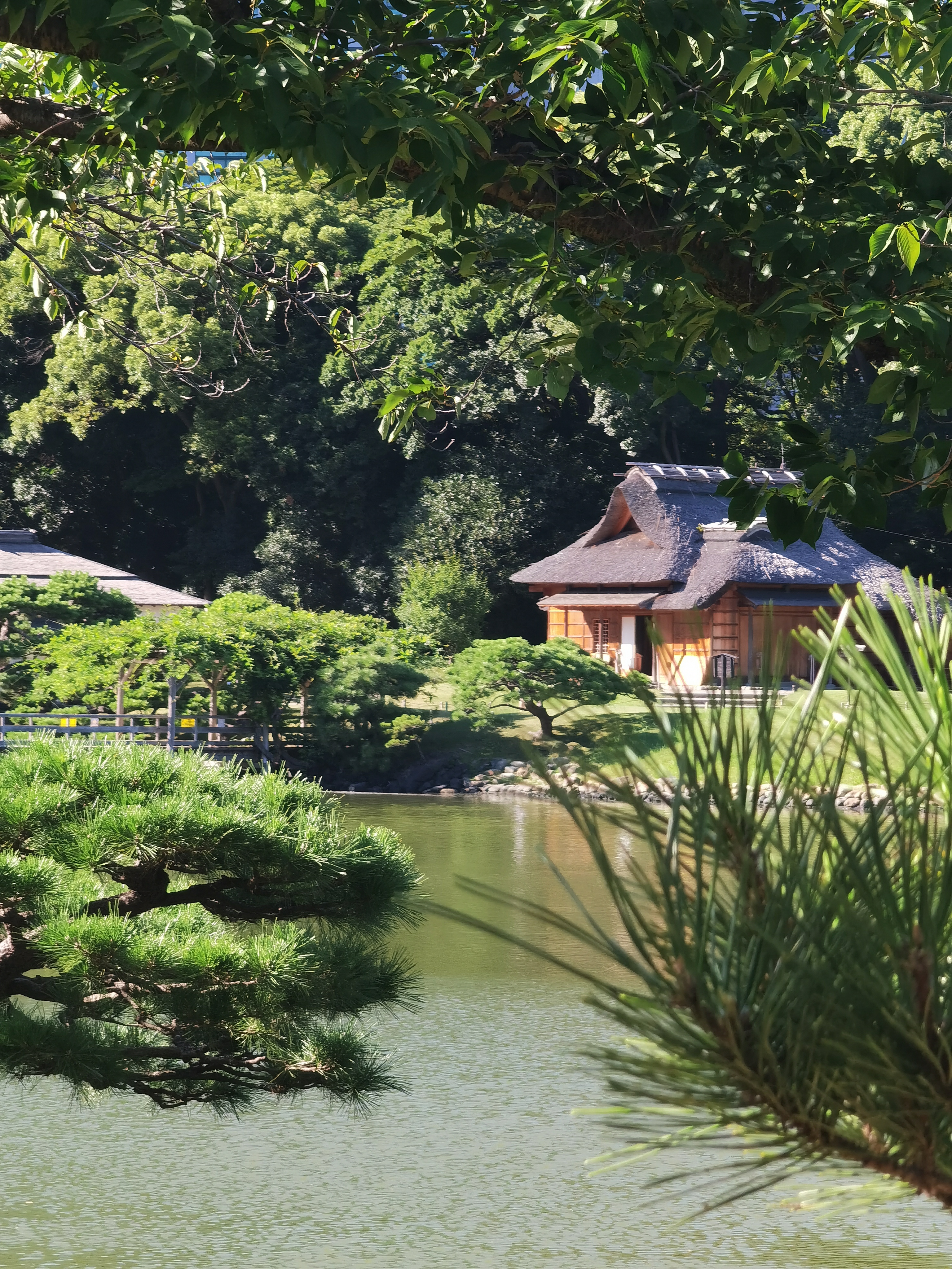 Япония: фестиваль фейерверков и пляжи Окинавы (11/37)