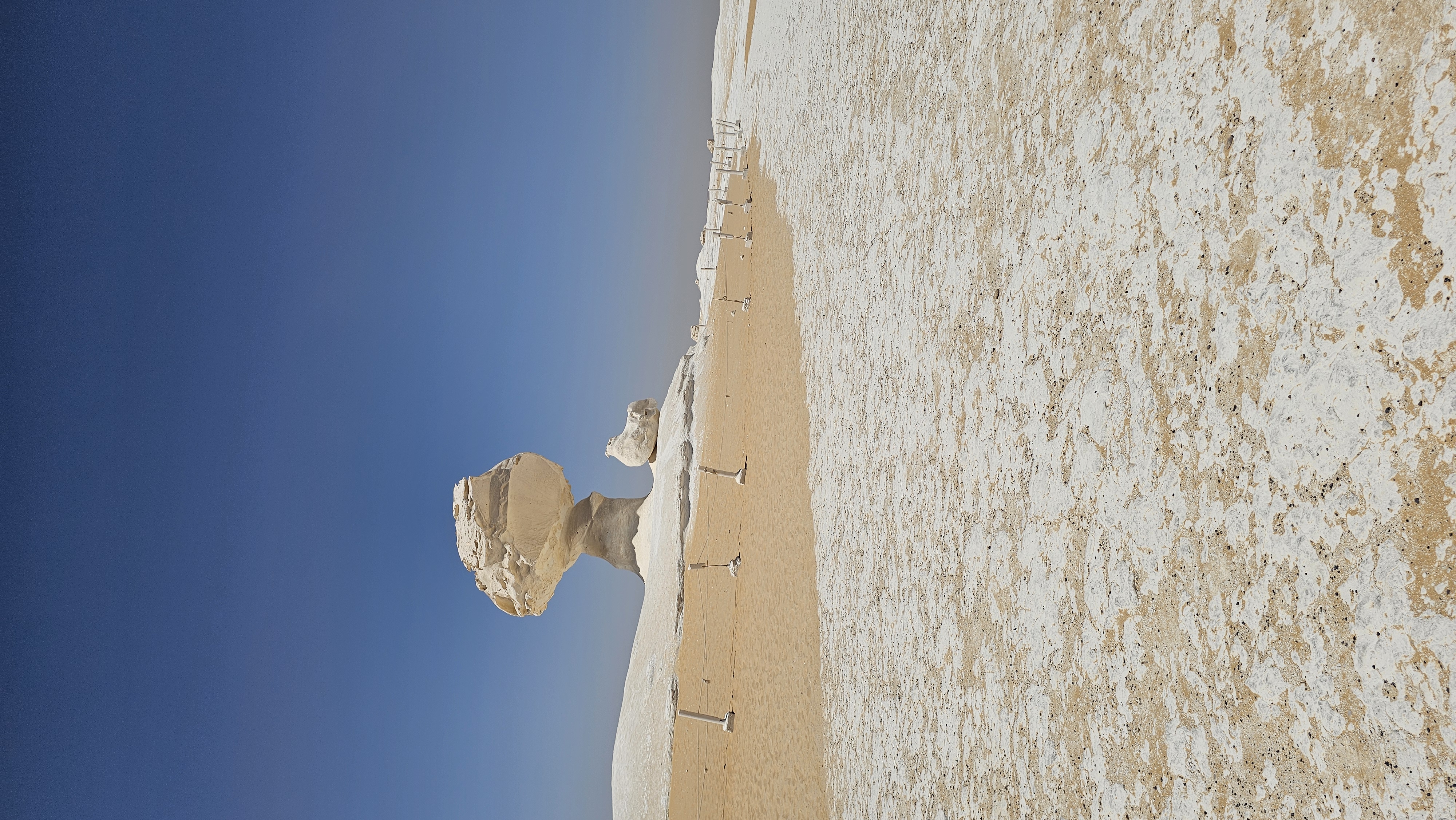 Zamna Egypt 2026 (Base) (4/9)