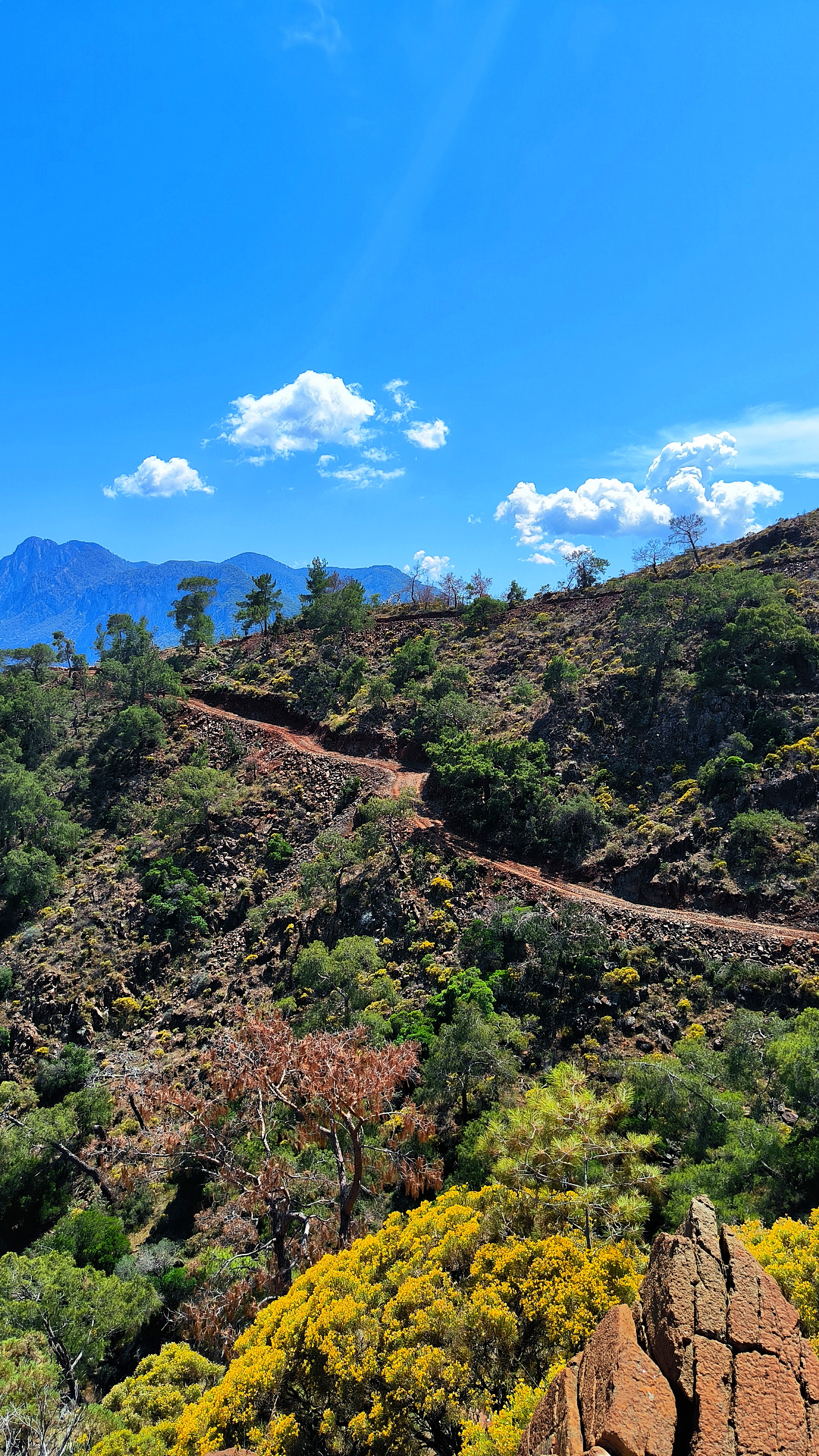 Ретрит в Чиралах: тур с тренинговой программой в деревне на берегу средиземного моря (22/26)