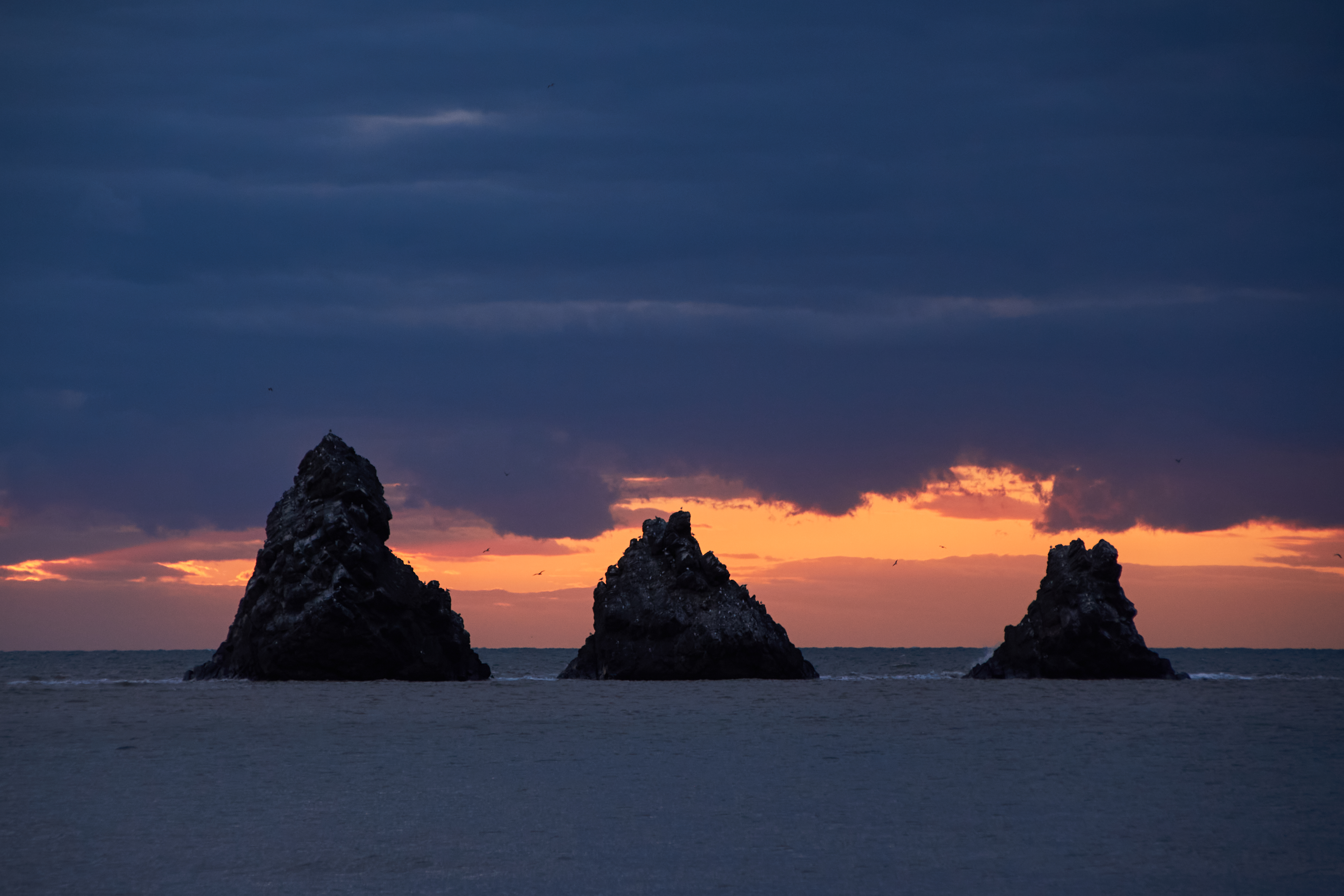 Север Сахалина: киты и тундра (6/27)