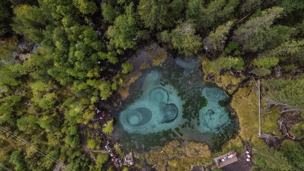 Цветущий Алтай (8/10)