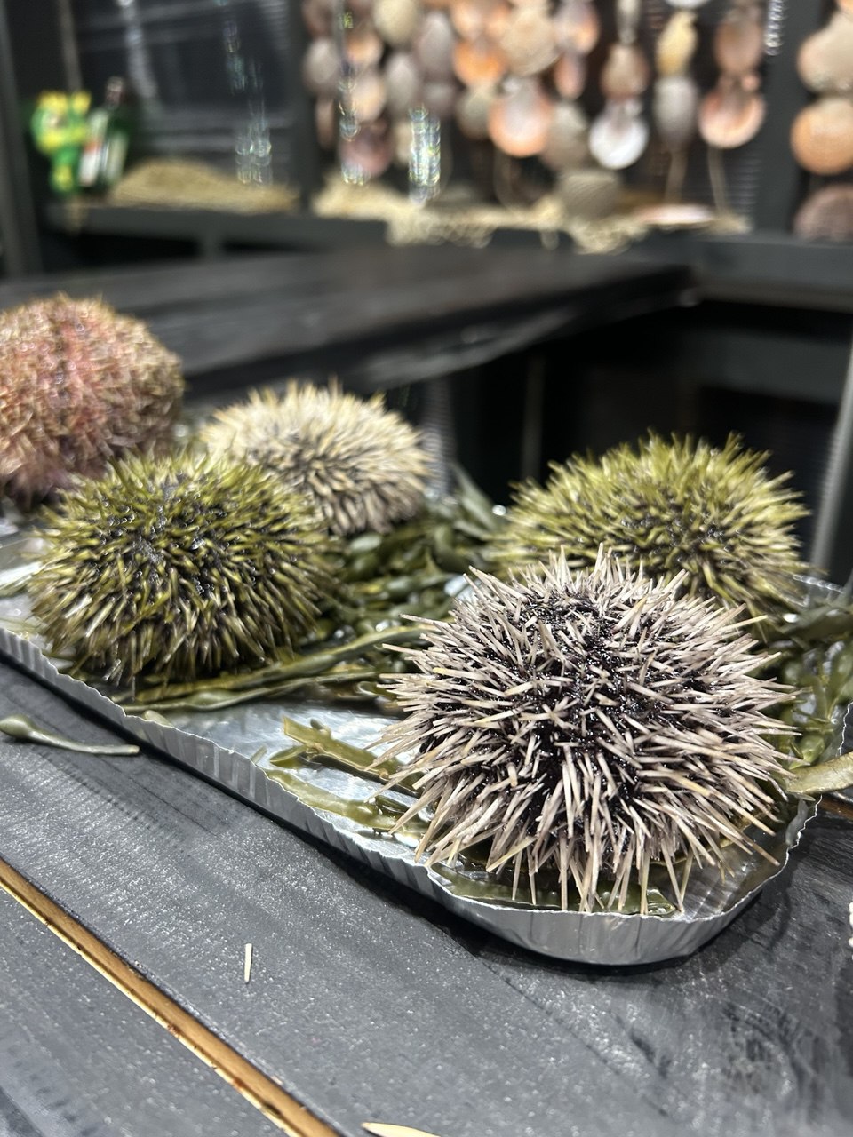 Морская Териберка