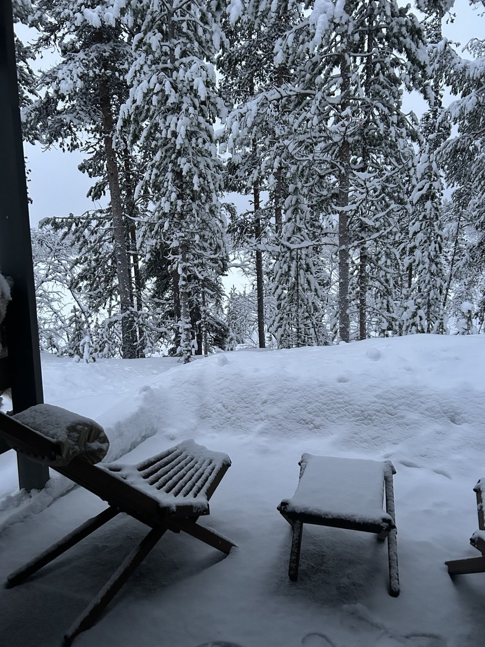 Ловозерские тундры