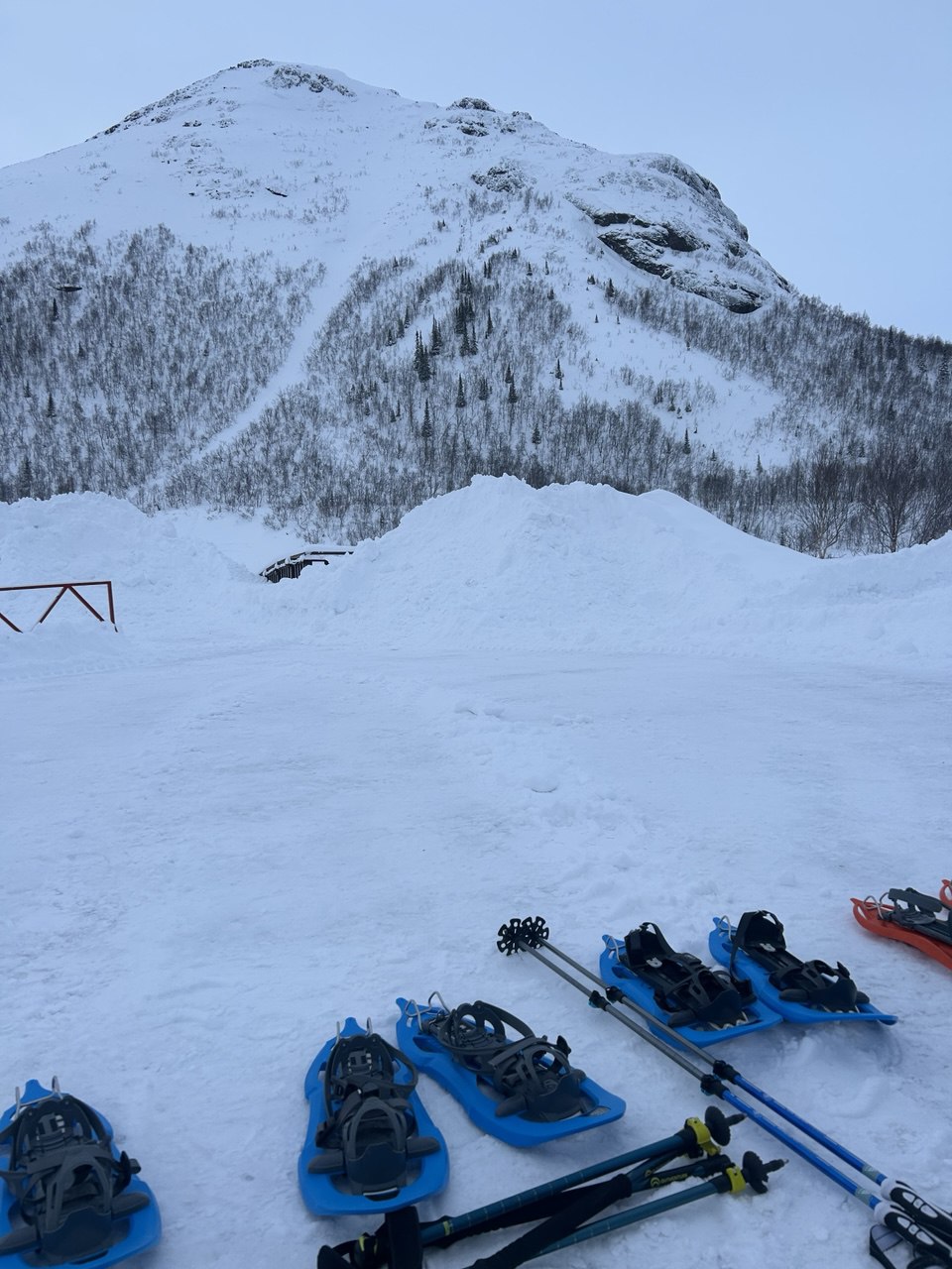 Магия Хибин с экологом