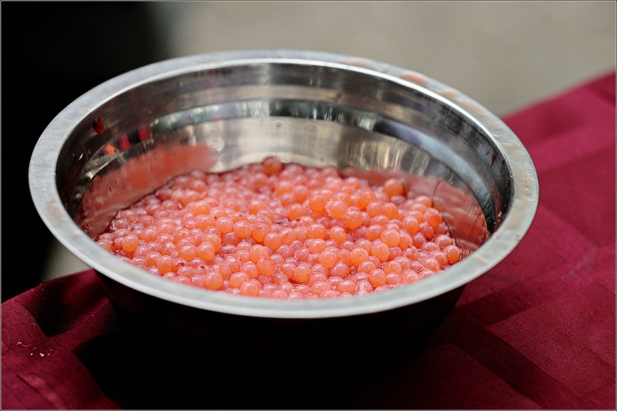 Рыболовный тур 7 дней все включено (12/52)