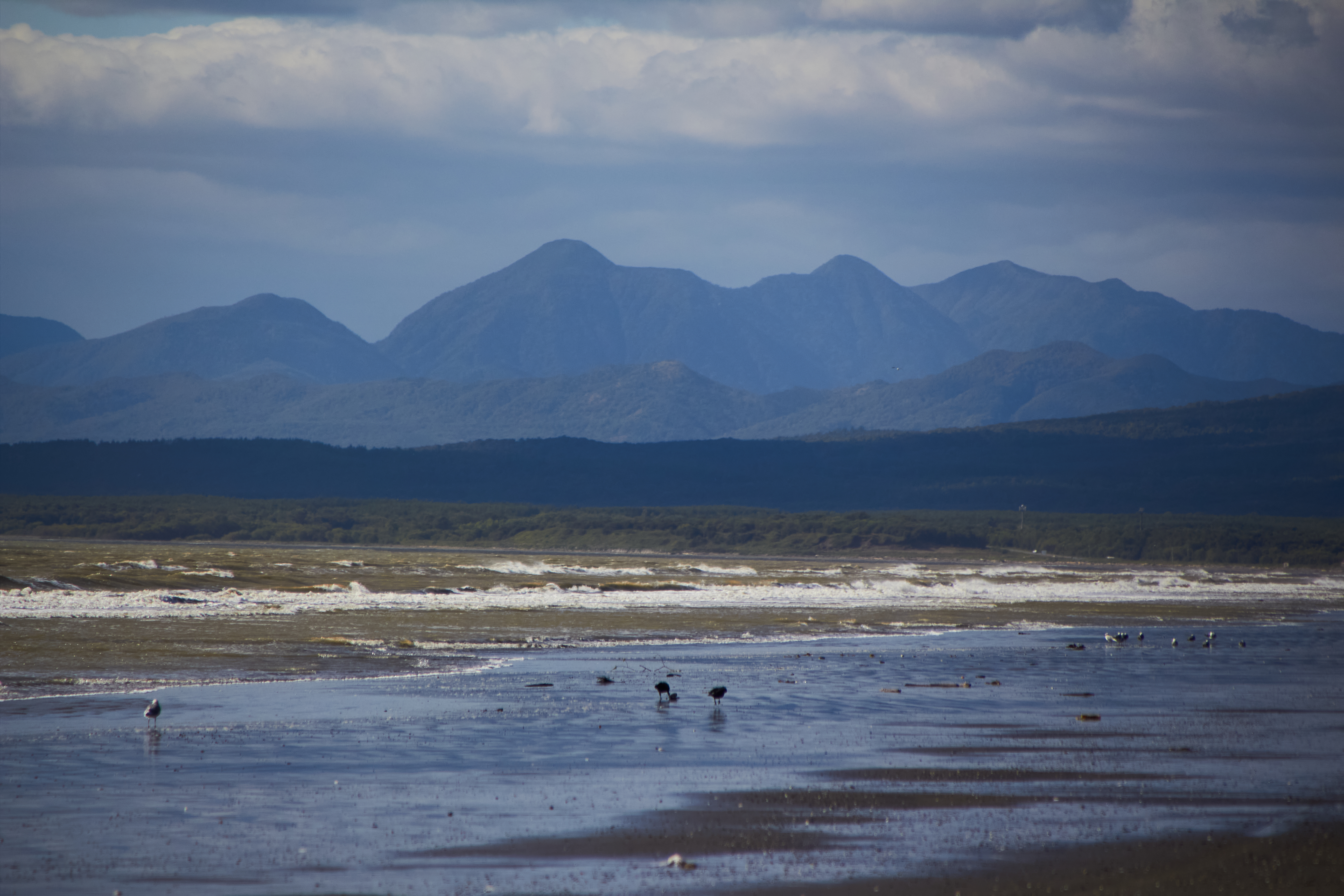 Север Сахалина: киты и тундра (3/27)