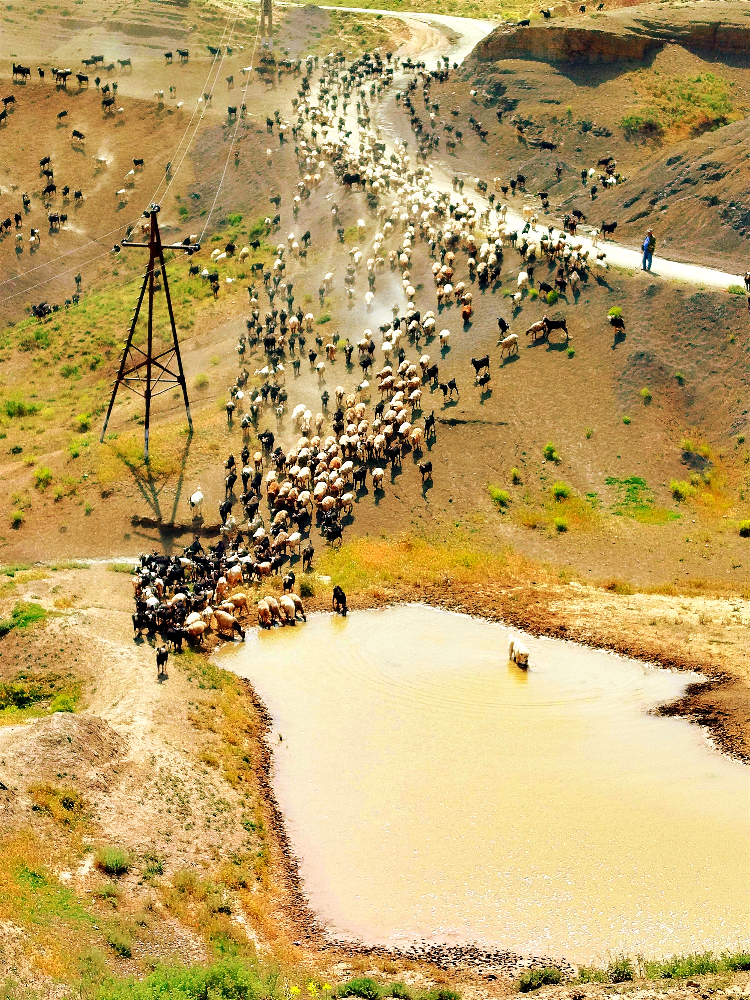 Туркменистан за 5 дней: Тени Великого Шёлкового Пути (24/27)