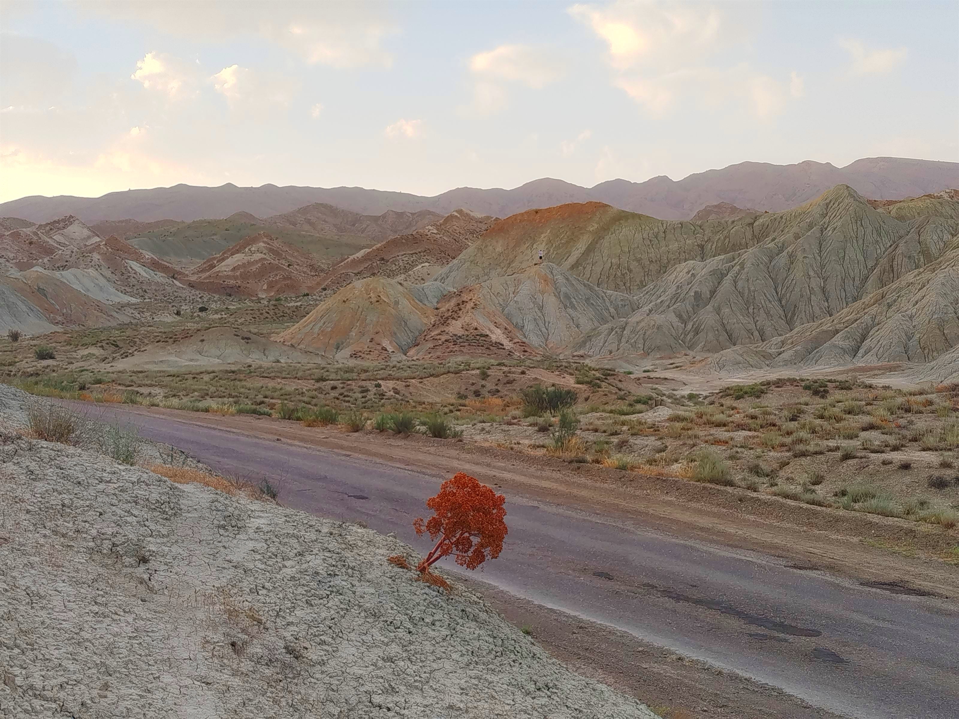 8 дневный обширный тур в Туркменистан (19/32)