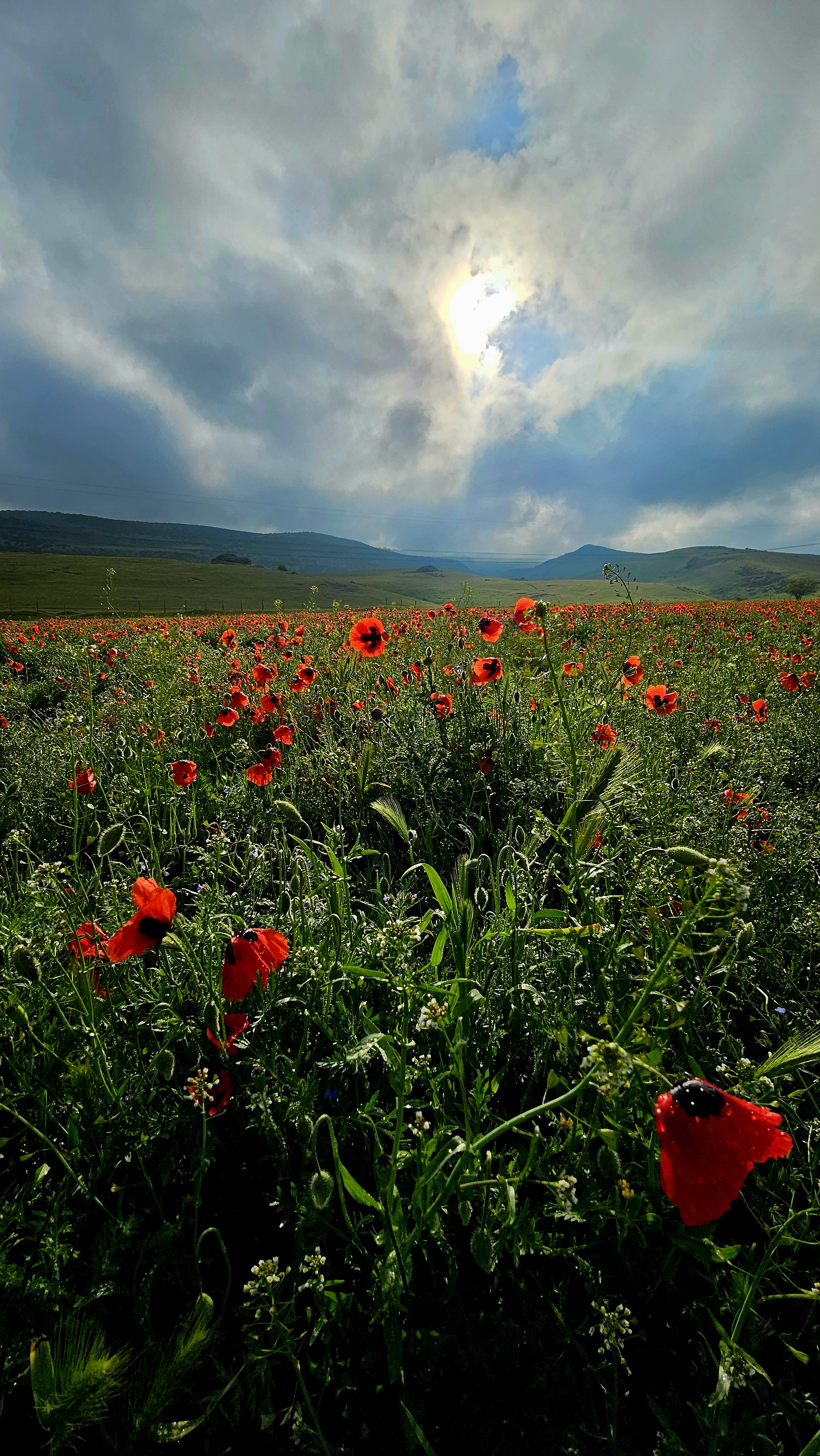 3 дня - Весеннее пламя Дагестана
