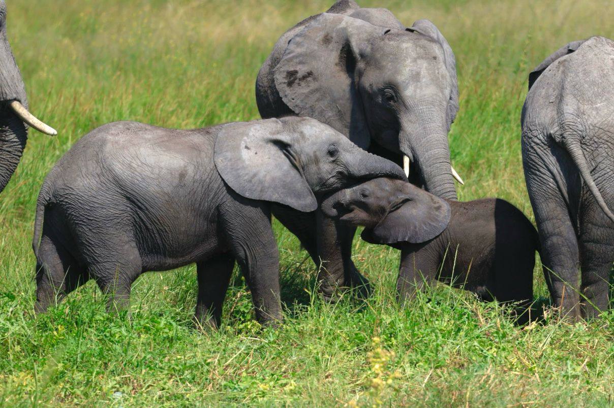 Юар. Тотальная перезагрузка. 11 дней гедонизма и Wow-эмоций. (16/64)