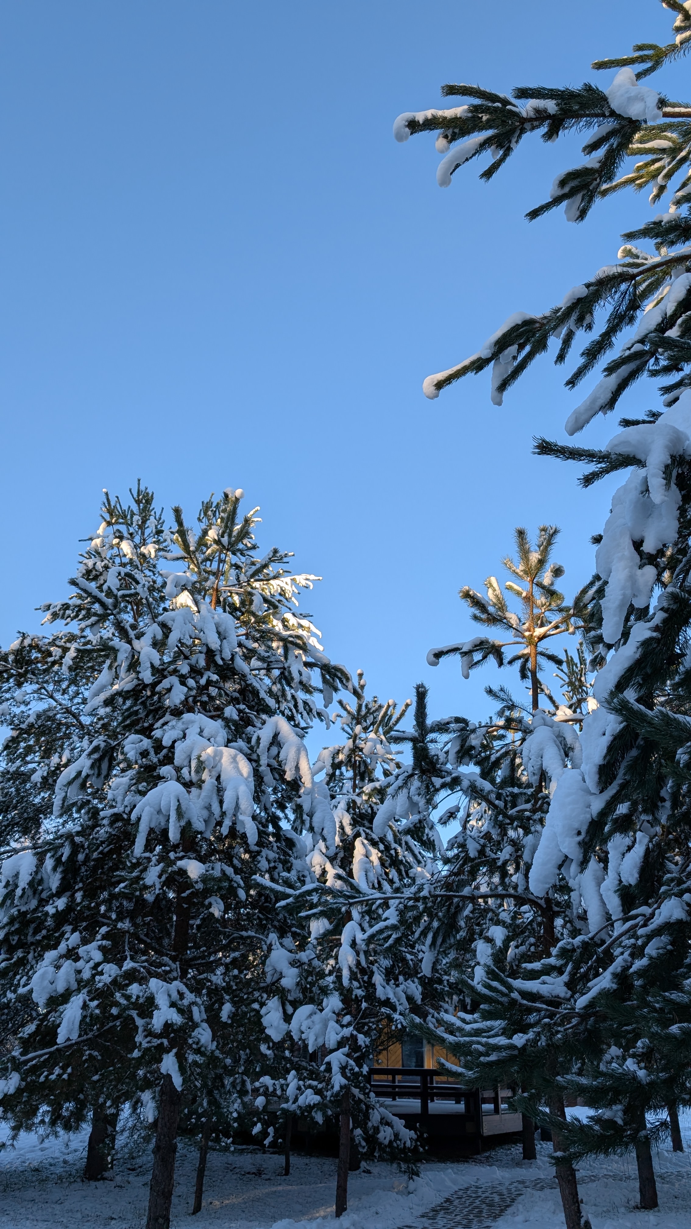 Йога weekend в волшебном Ленобласти