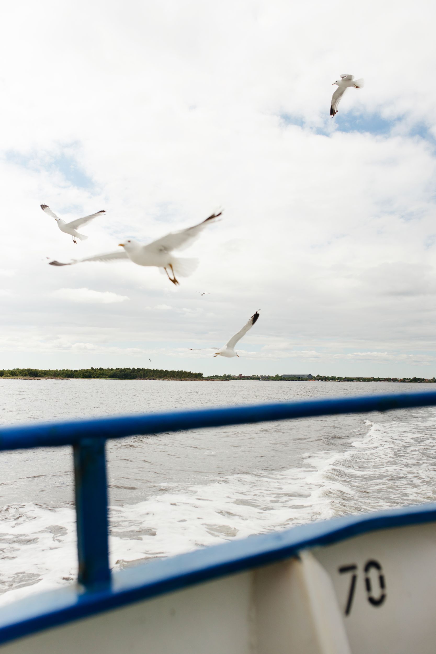 Соловки для гостей из Санкт-Петербурга (19/25)