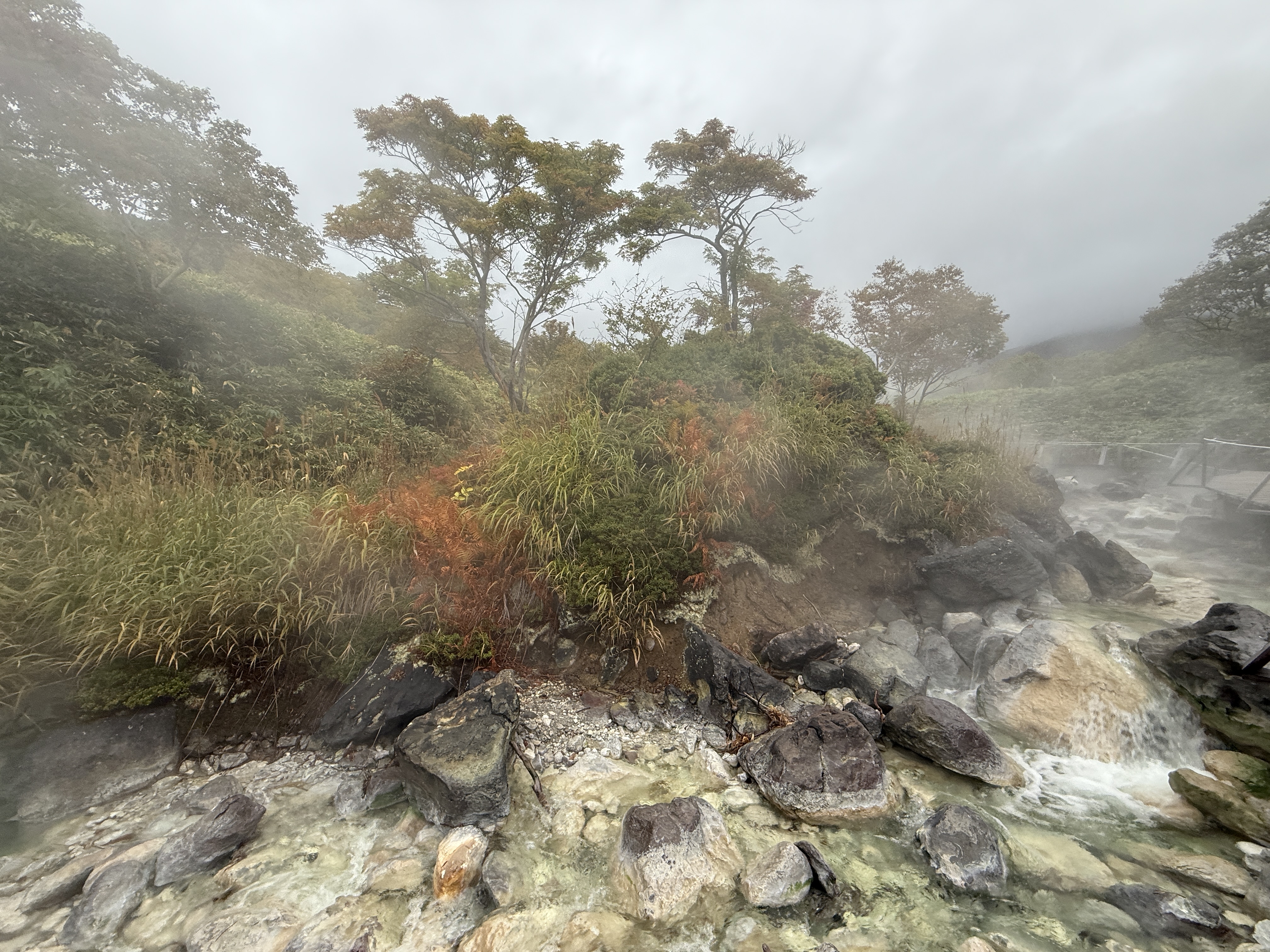 Осенний Итуруп + Сахалин (5/51)