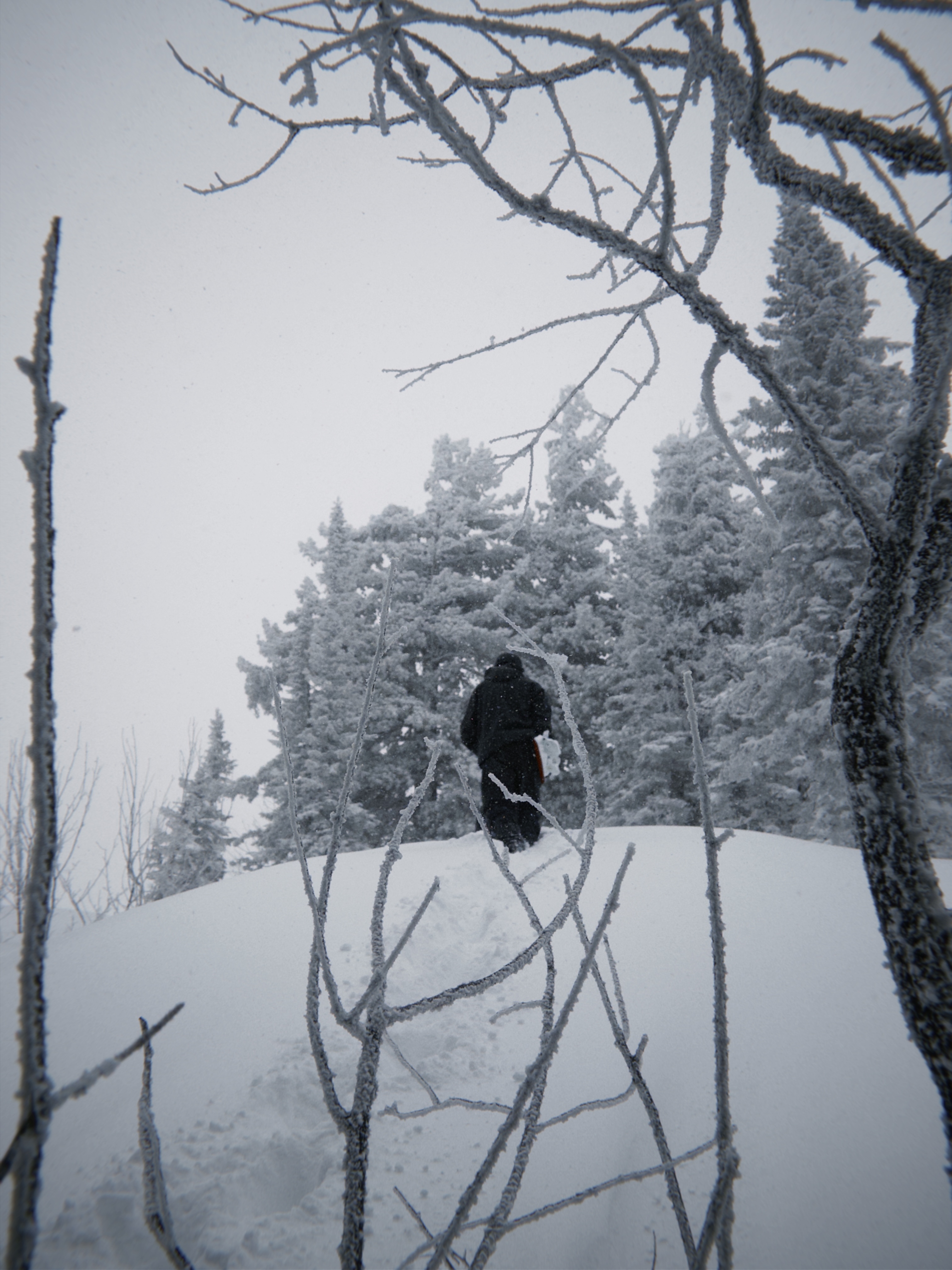 Тур в Шерегеш и Сноуборд кемп