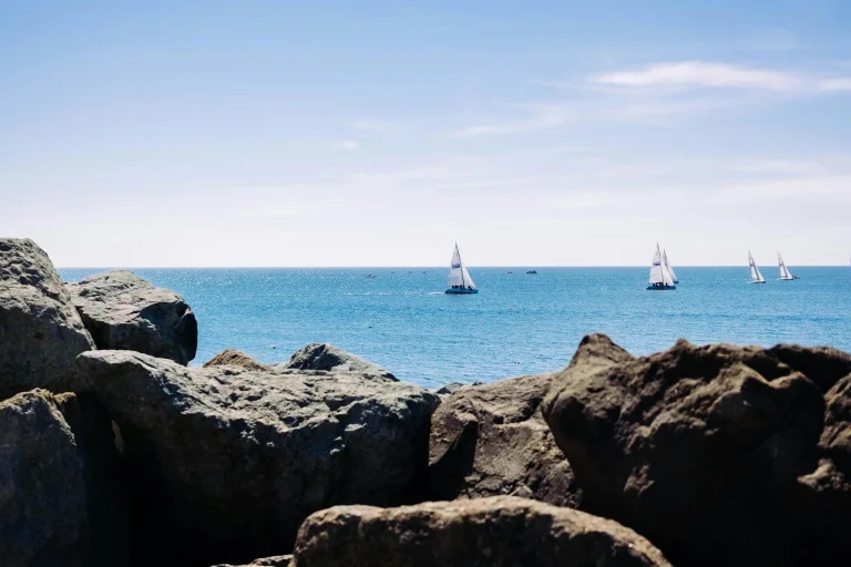 Wellness - тур Горный и морской Сочи + Абхазия (6/8)