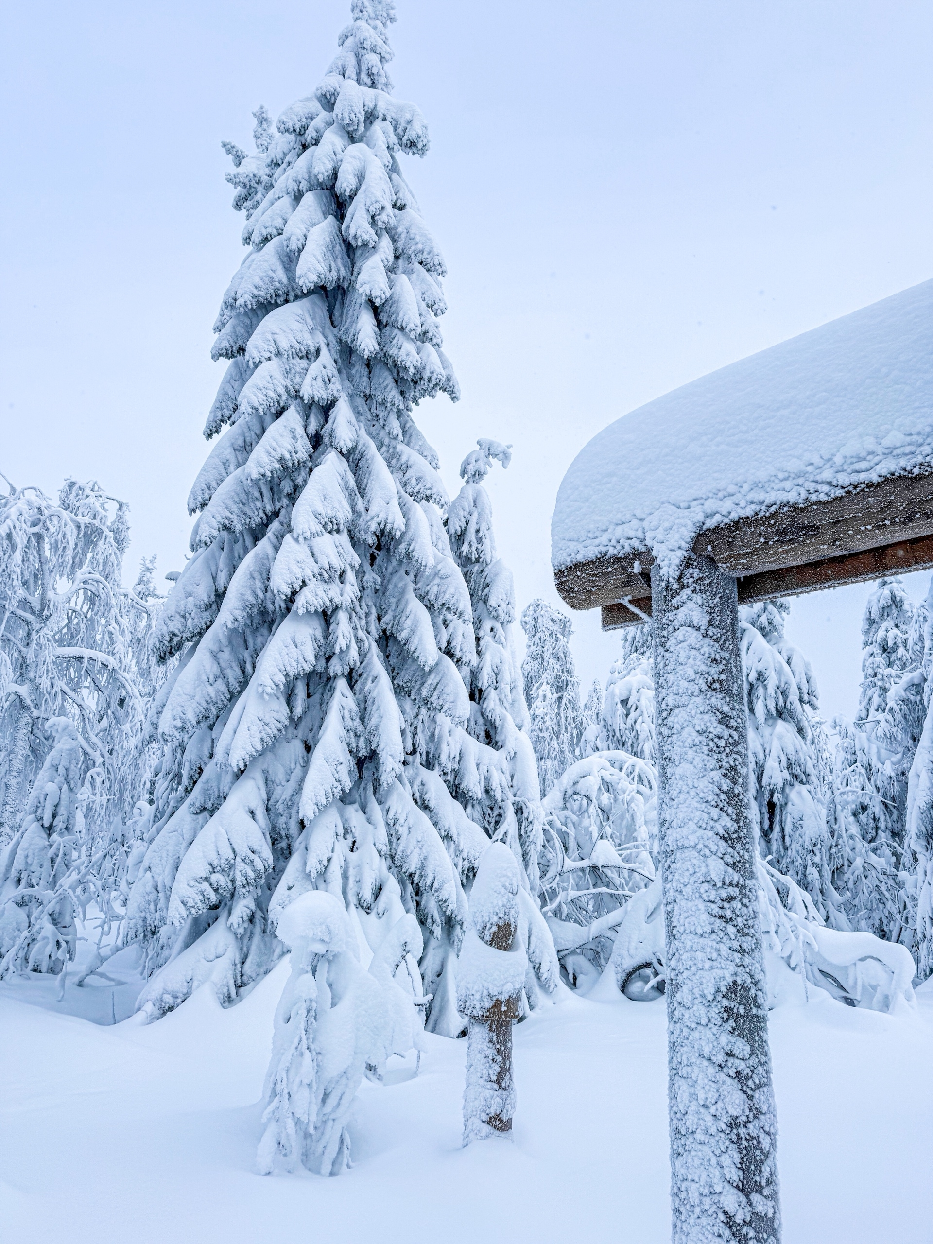 Снегоходный тур к Усьвинским столбам и Каменному городу (10/14)