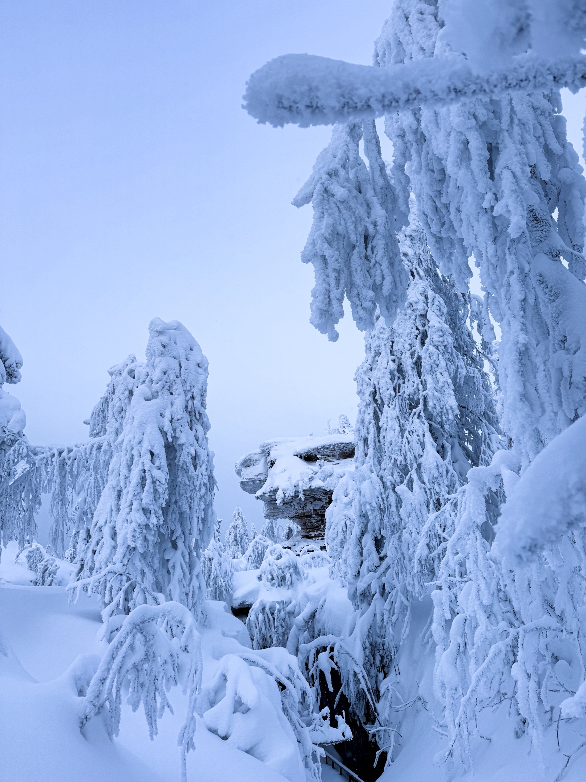 Снегоходный тур к Усьвинским столбам и Каменному городу (14/14)