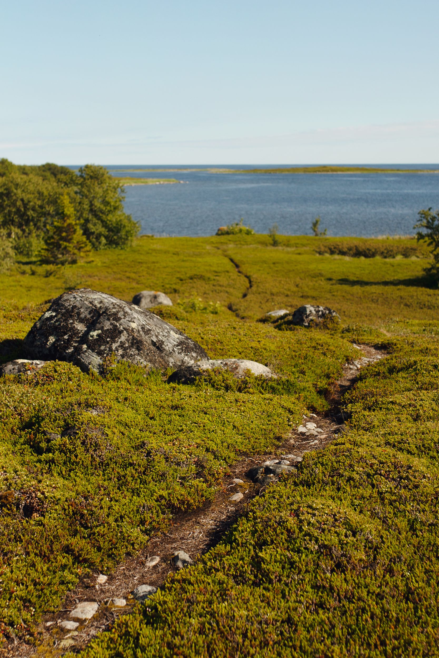 Соловки для гостей из Санкт-Петербурга (12/25)