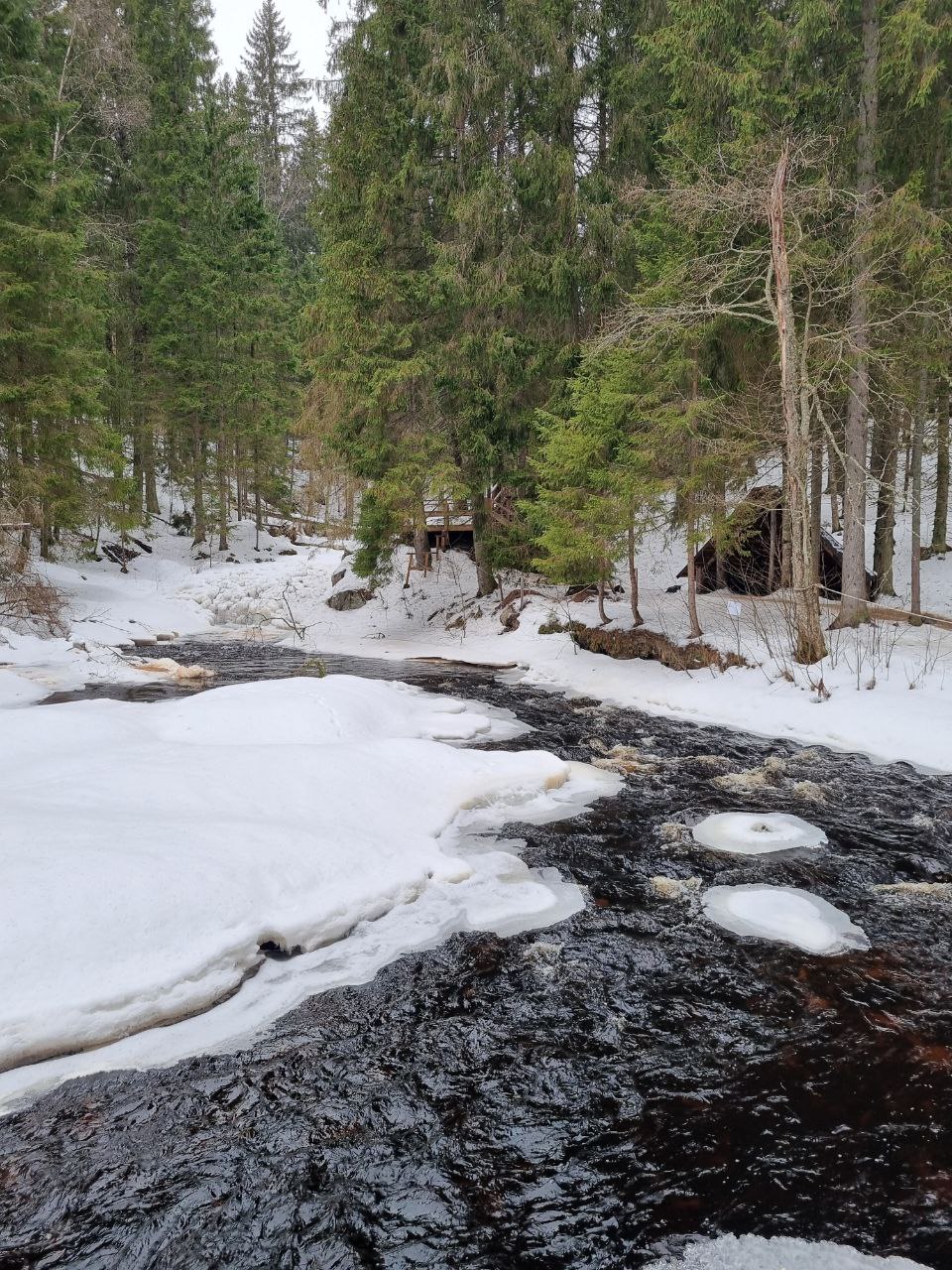 Зимние каникулы в Карелии