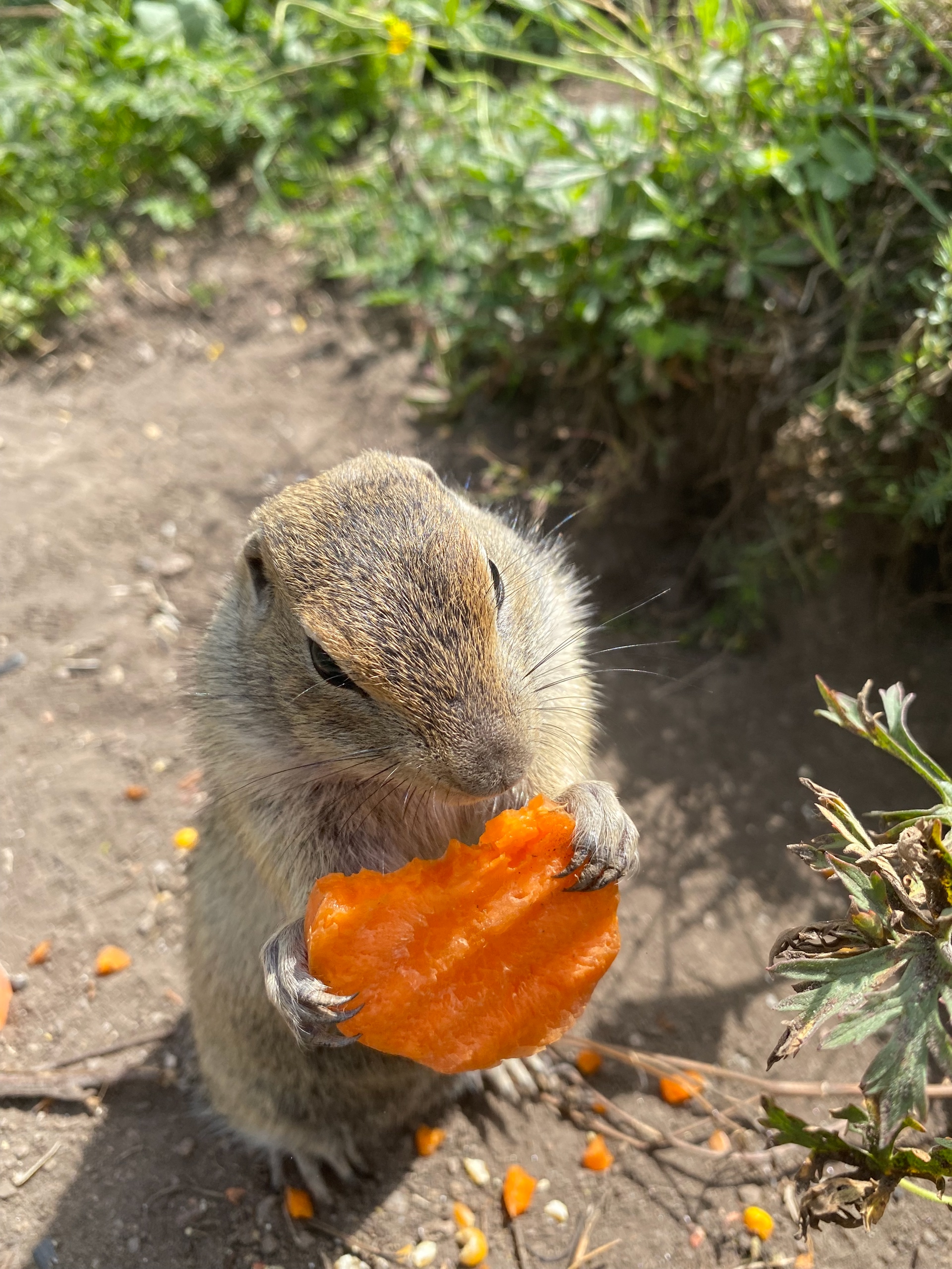 4 насыщенных дня в Кабардино-Балкарии и Карачаево-Черкесии (8/25)