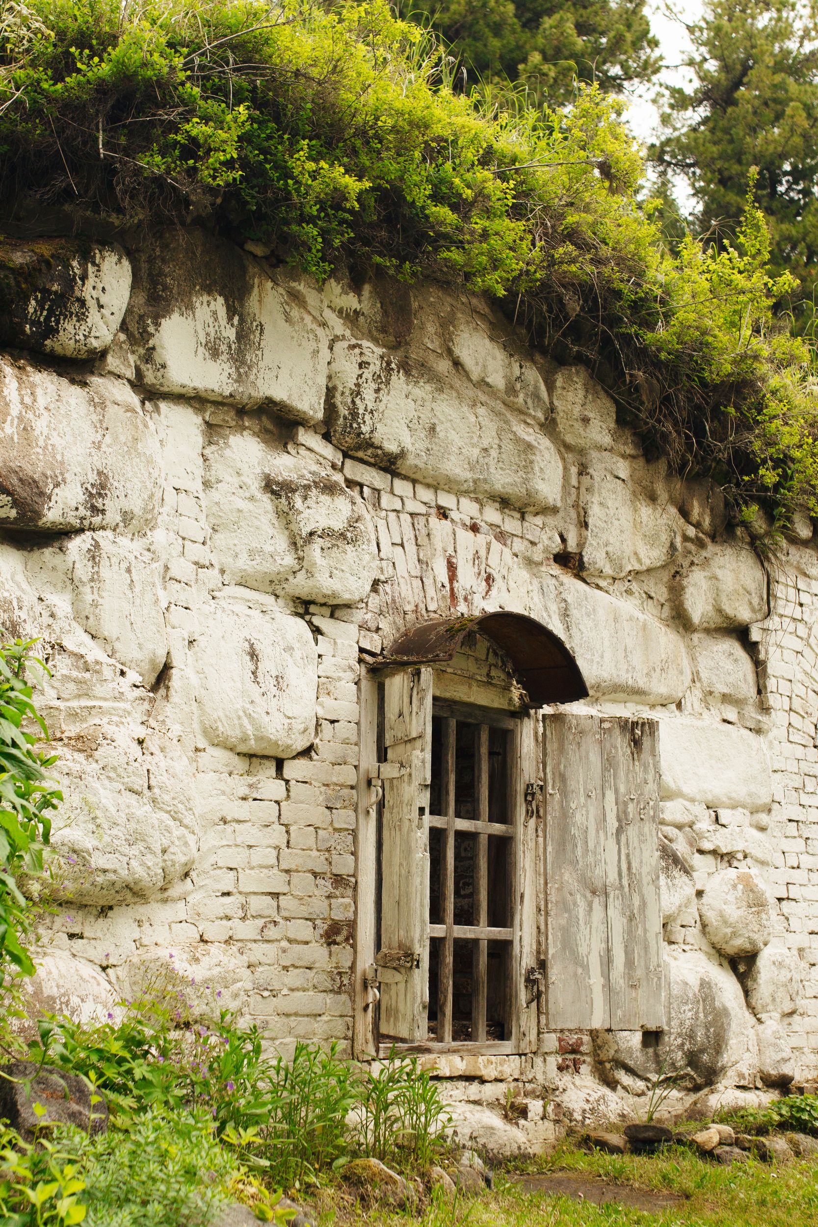 Соловки для гостей из Санкт-Петербурга (25/25)