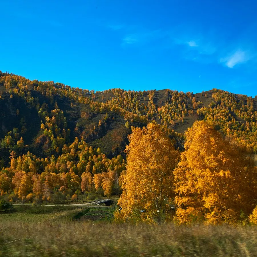 Волшебные краски Алтая шикарный тур! (4/15)