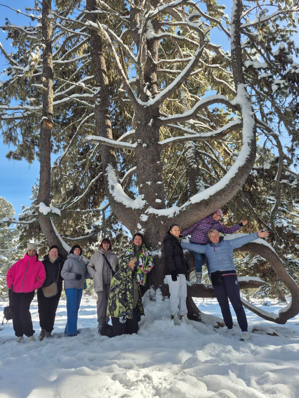 Волшебные краски Алтая шикарный тур! (13/15)