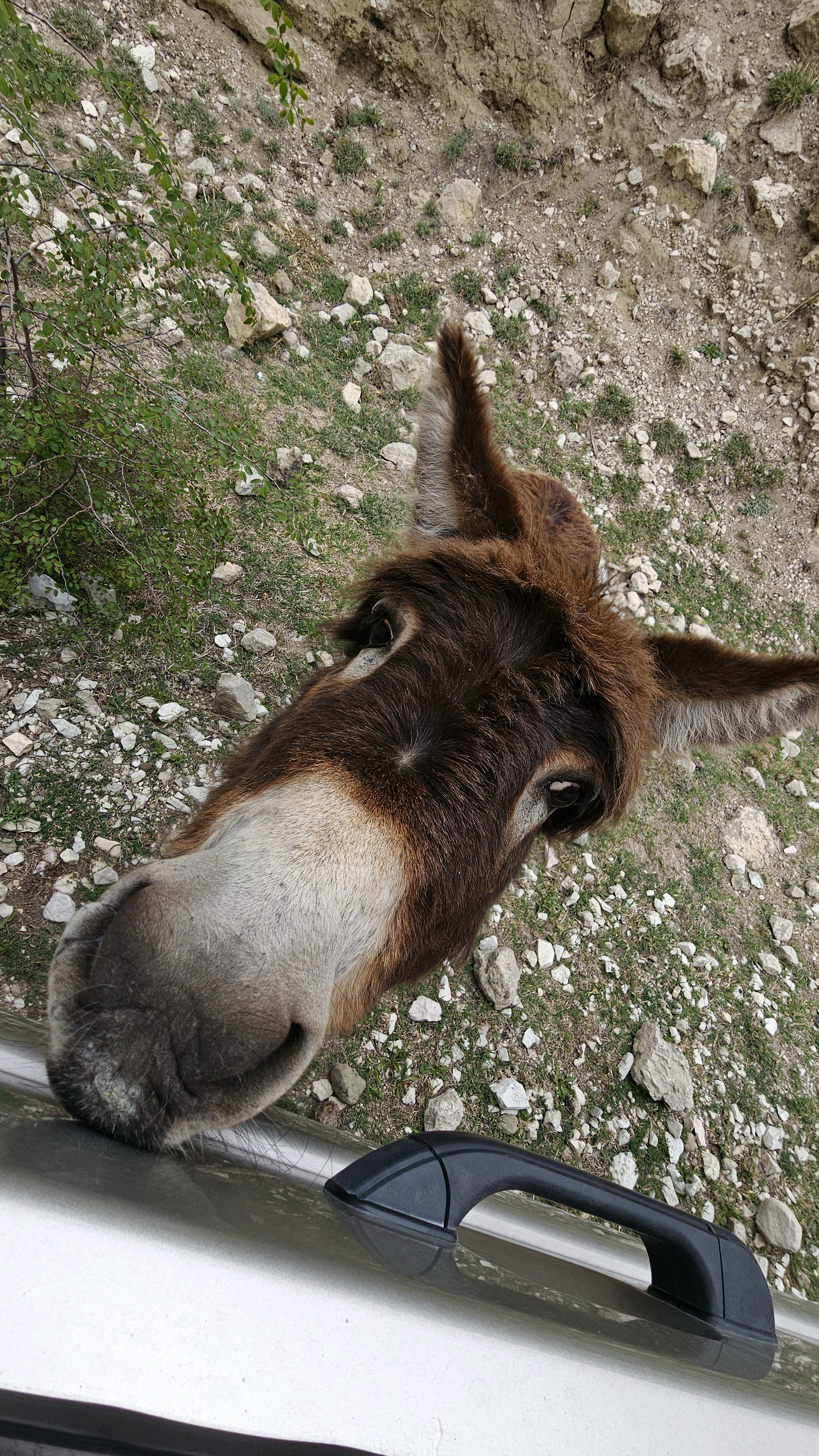 5 дней - Весеннее пламя Дагестана (16/52)